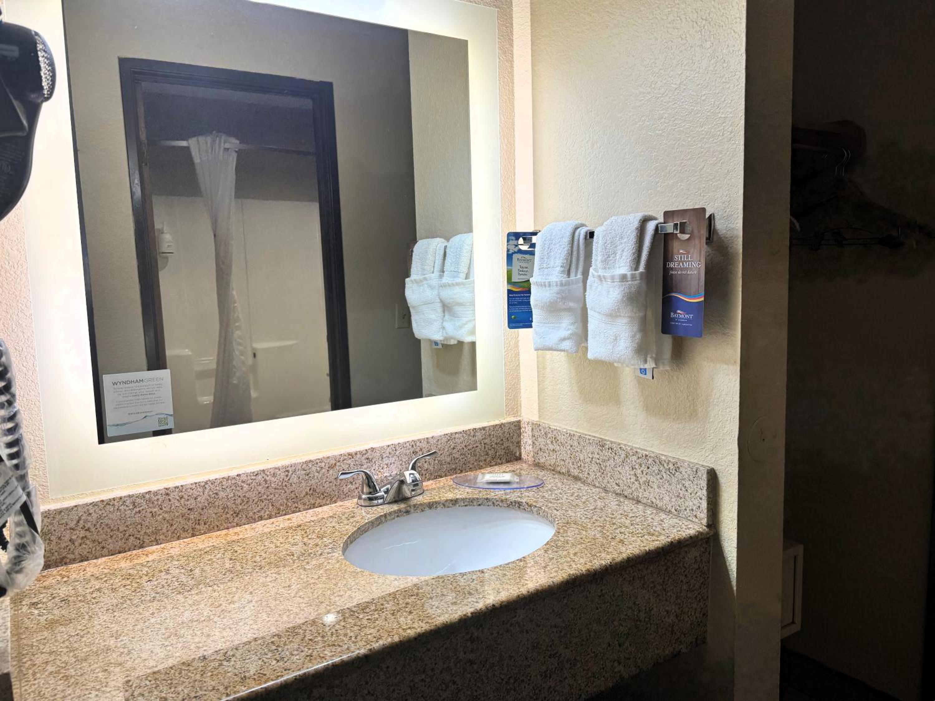 King Room - Pet Friendly/Non-Smoking - Photo 9