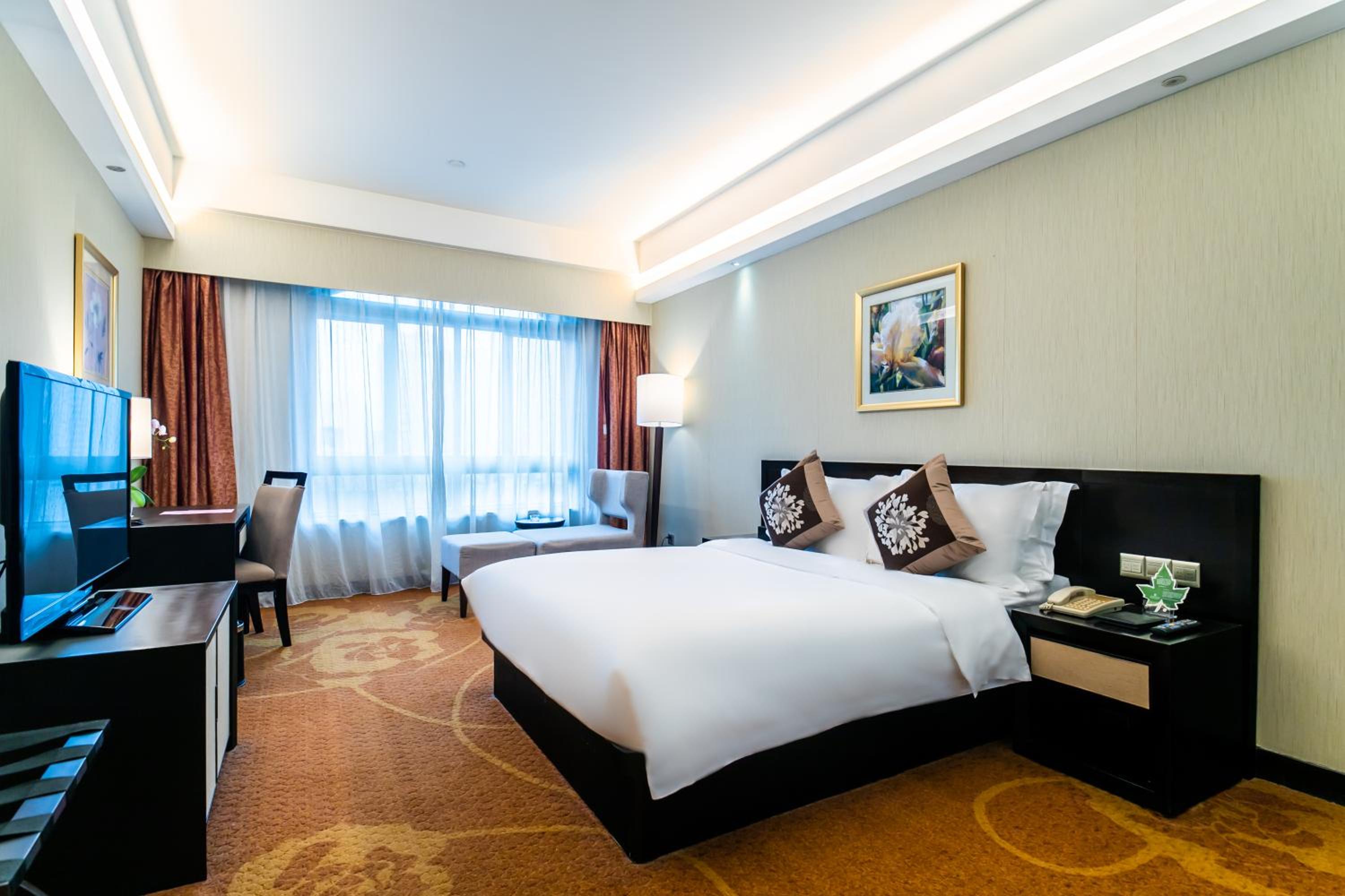 Superior Queen Room photo 2
