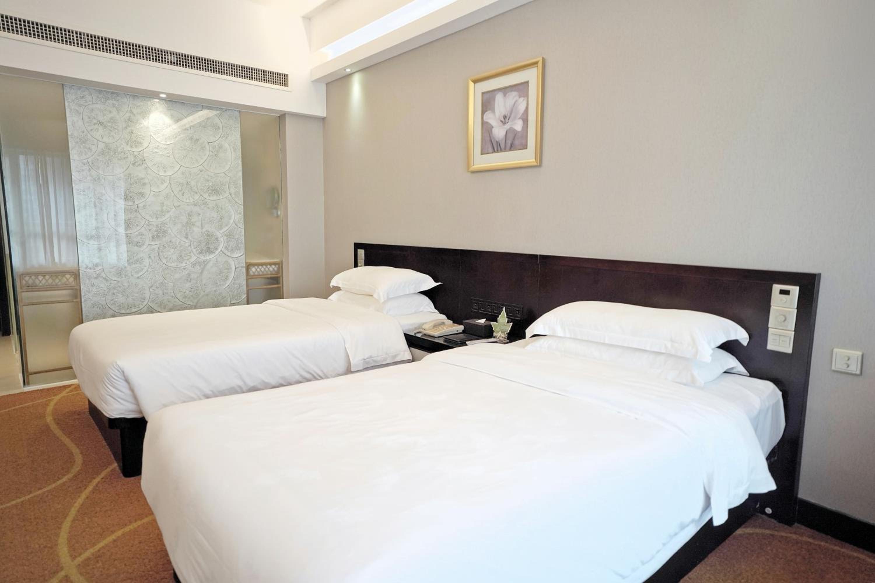 Superior Twin Room photo 2
