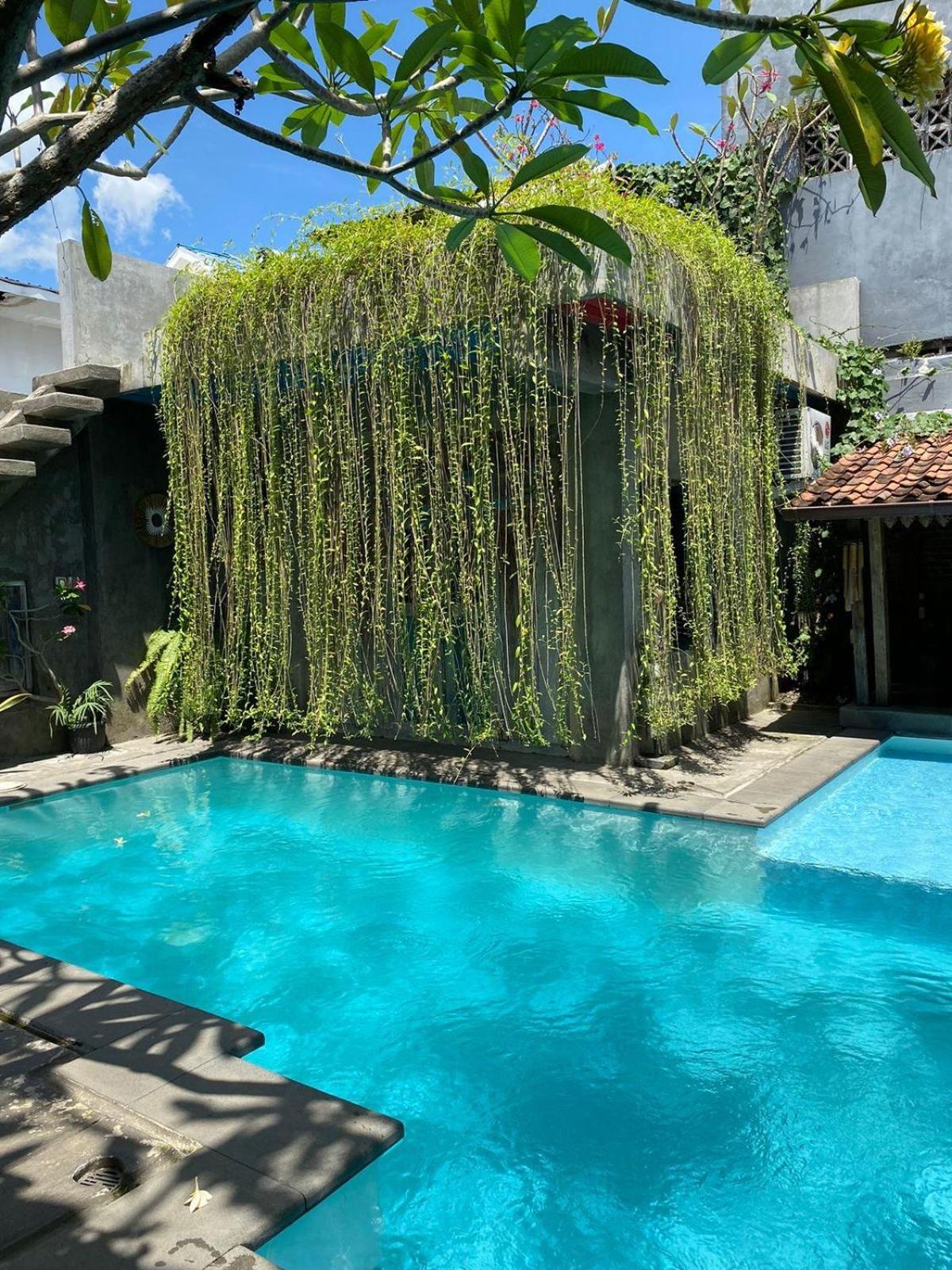 Queen Room with Pool View photo 3