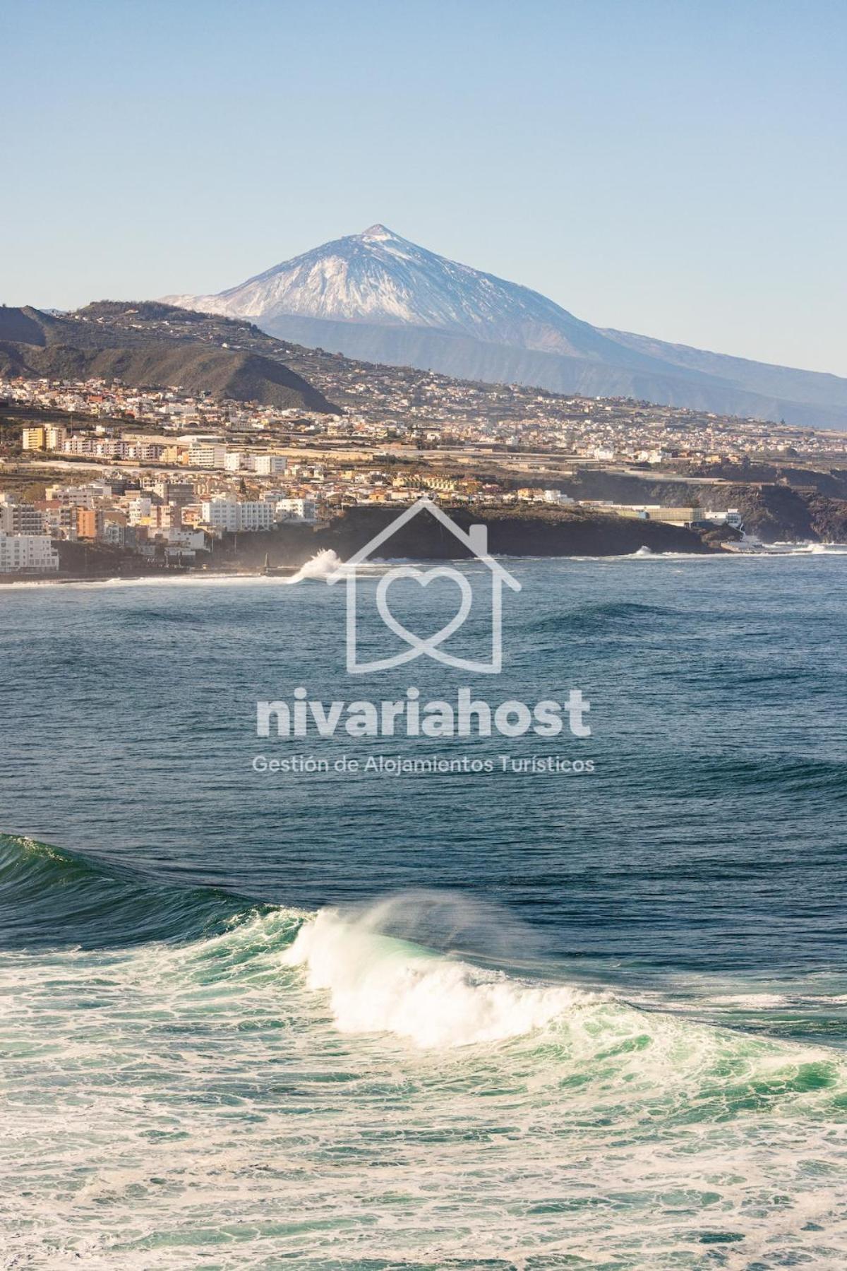 Studio with Sea View photo 3