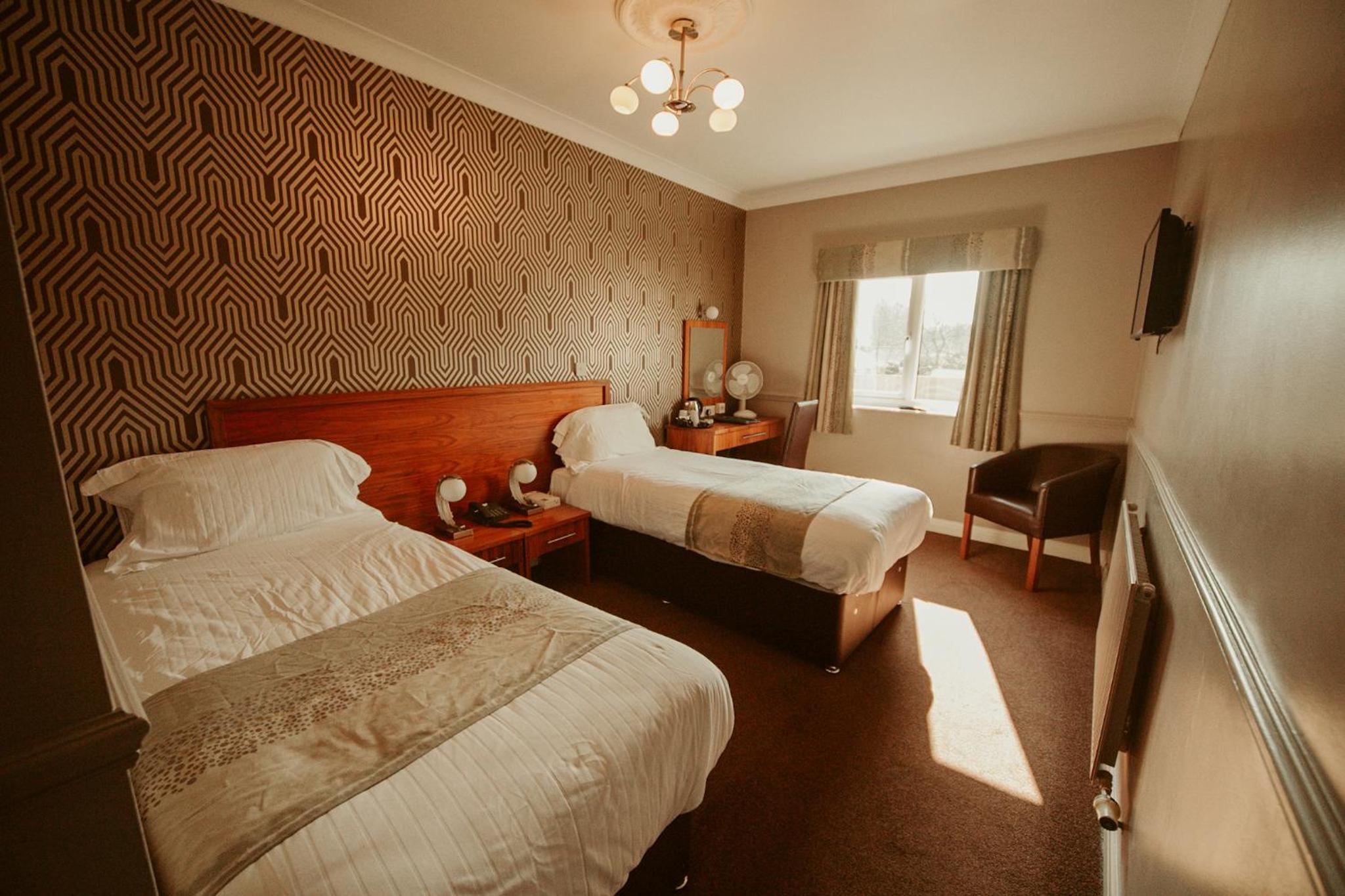 Cozy Twin Room