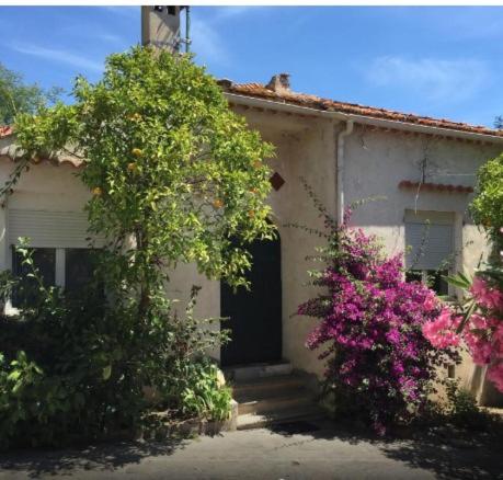Deluxe Double Room with Garden View