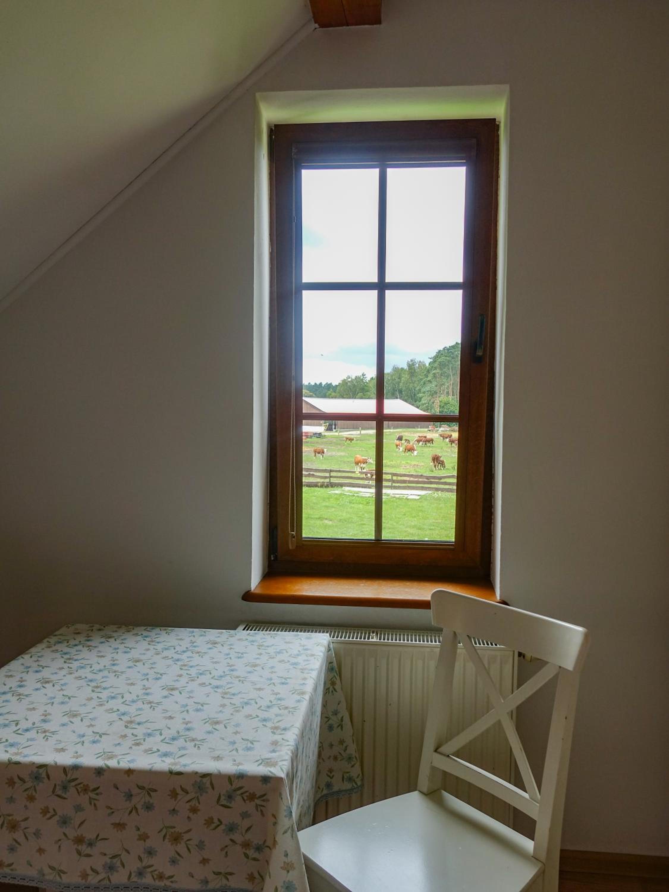 Large Double Room photo 1