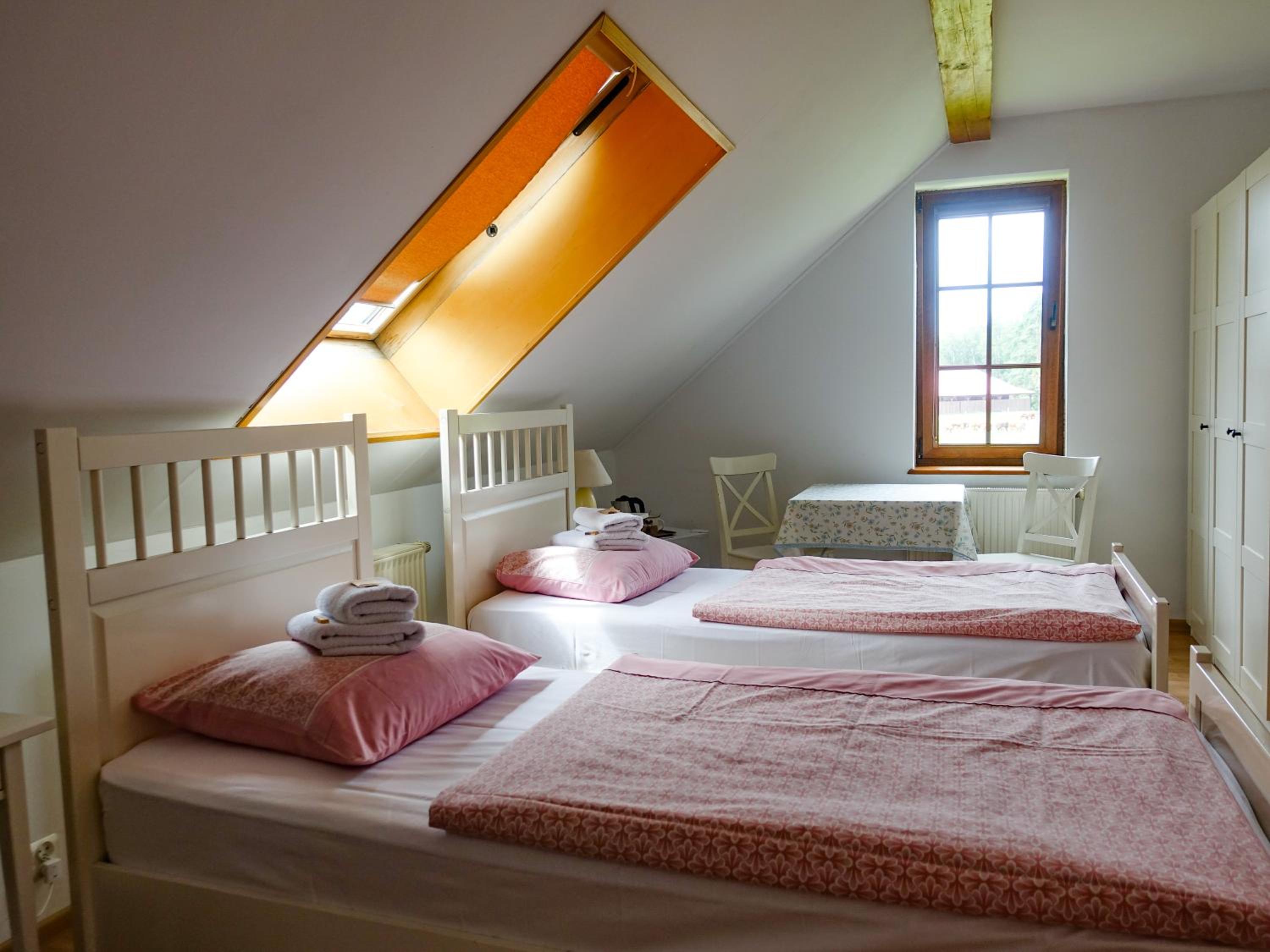 Large Double Room photo 3