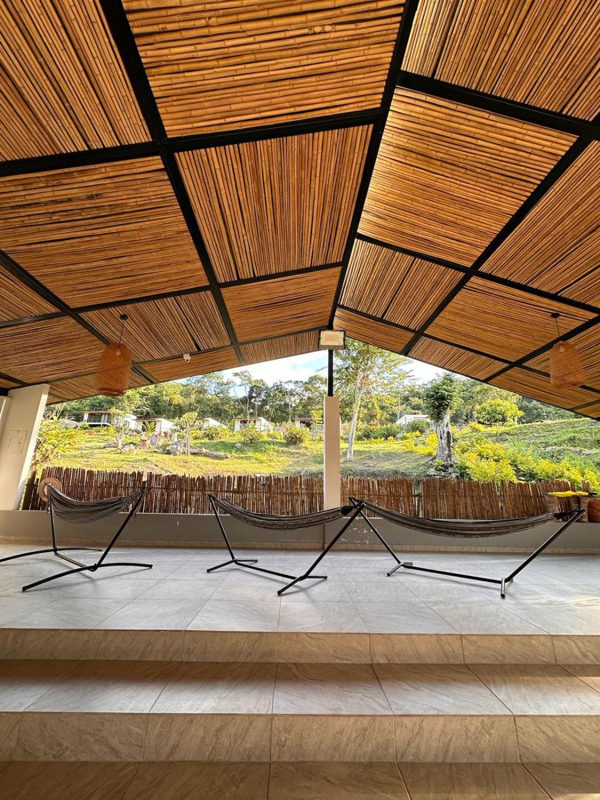 Double Room with Balcony photo 3