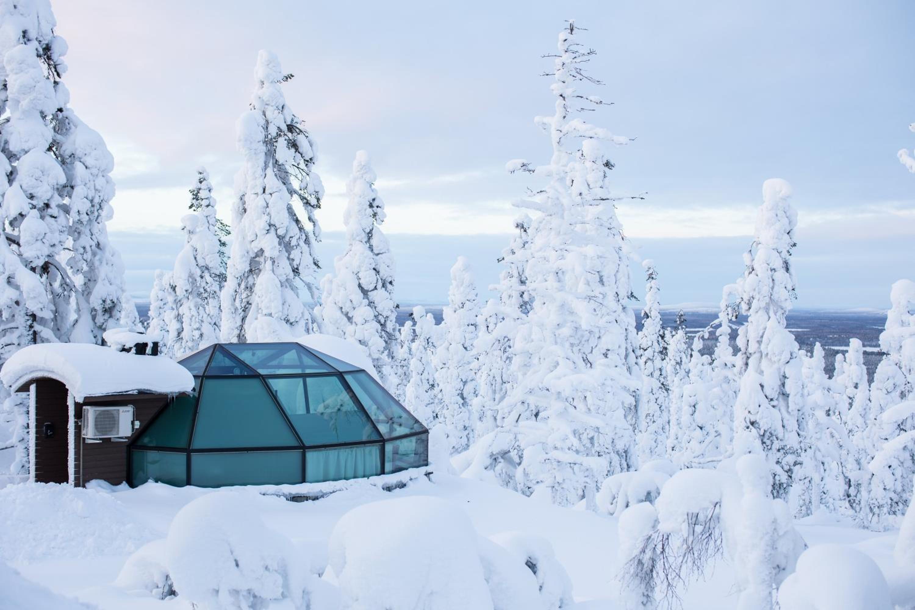 Prime Superior Igloo Forest Side photo 1