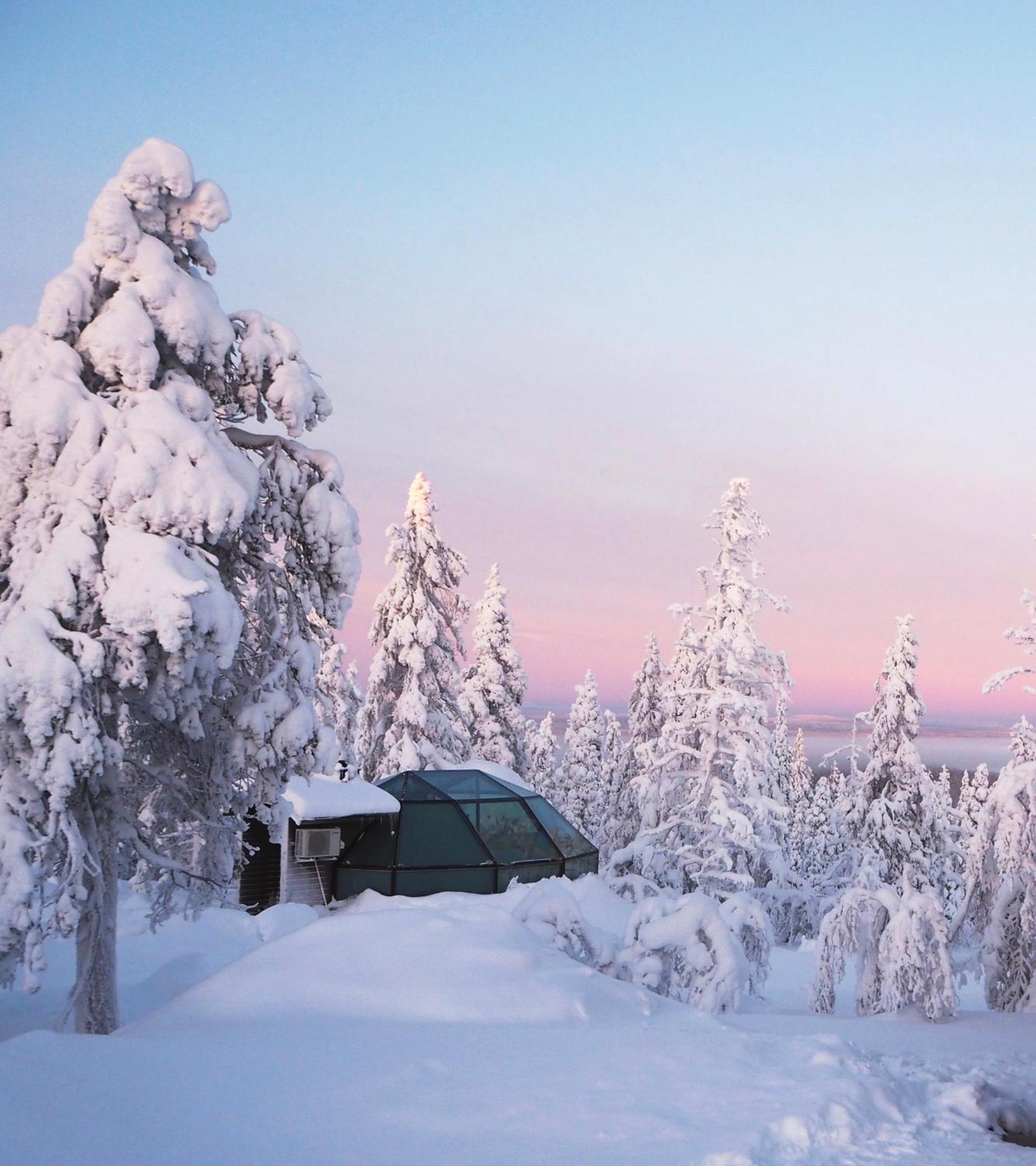 Prime Superior Igloo Forest Side photo 3