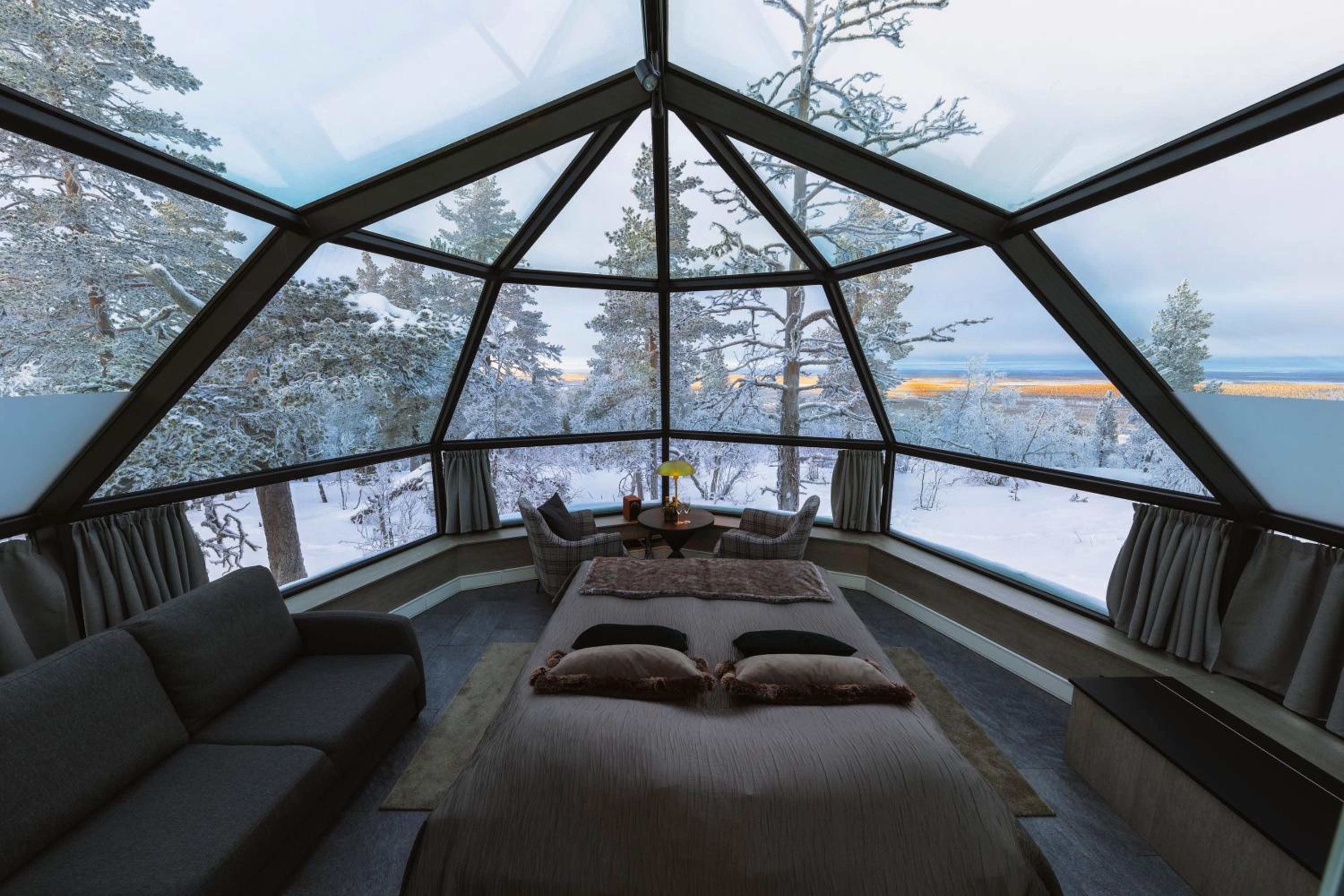 Prime Superior Igloo Forest Side