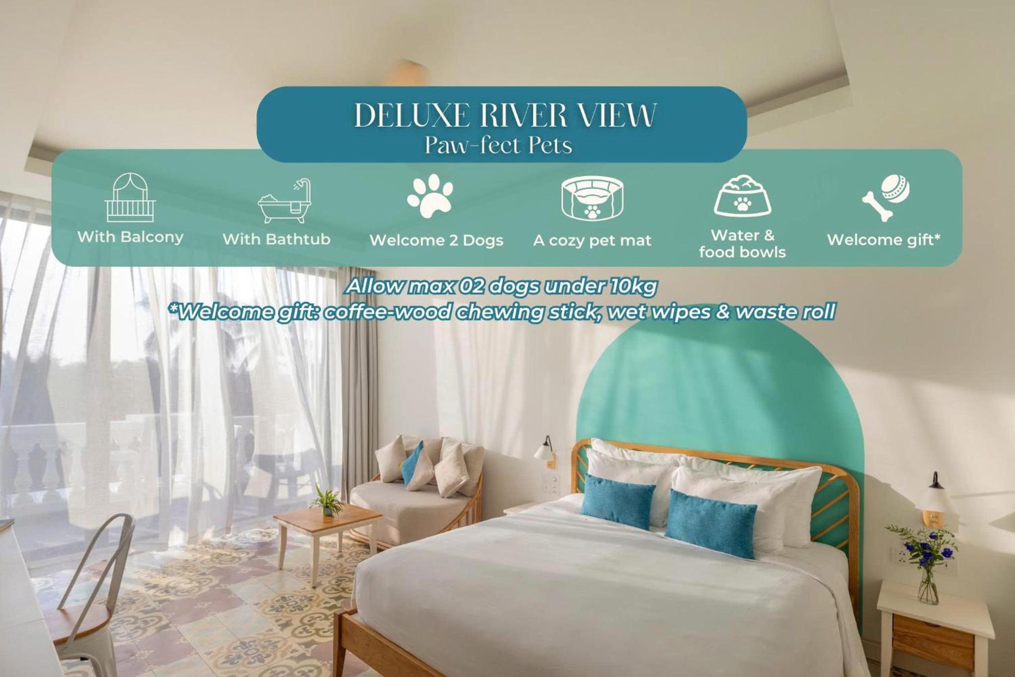 Deluxe Double or Twin Room with River View