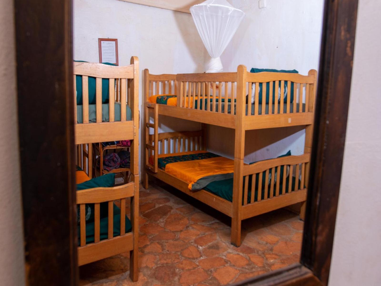 Bed in 4-Bed Male Dormitory Room photo 3