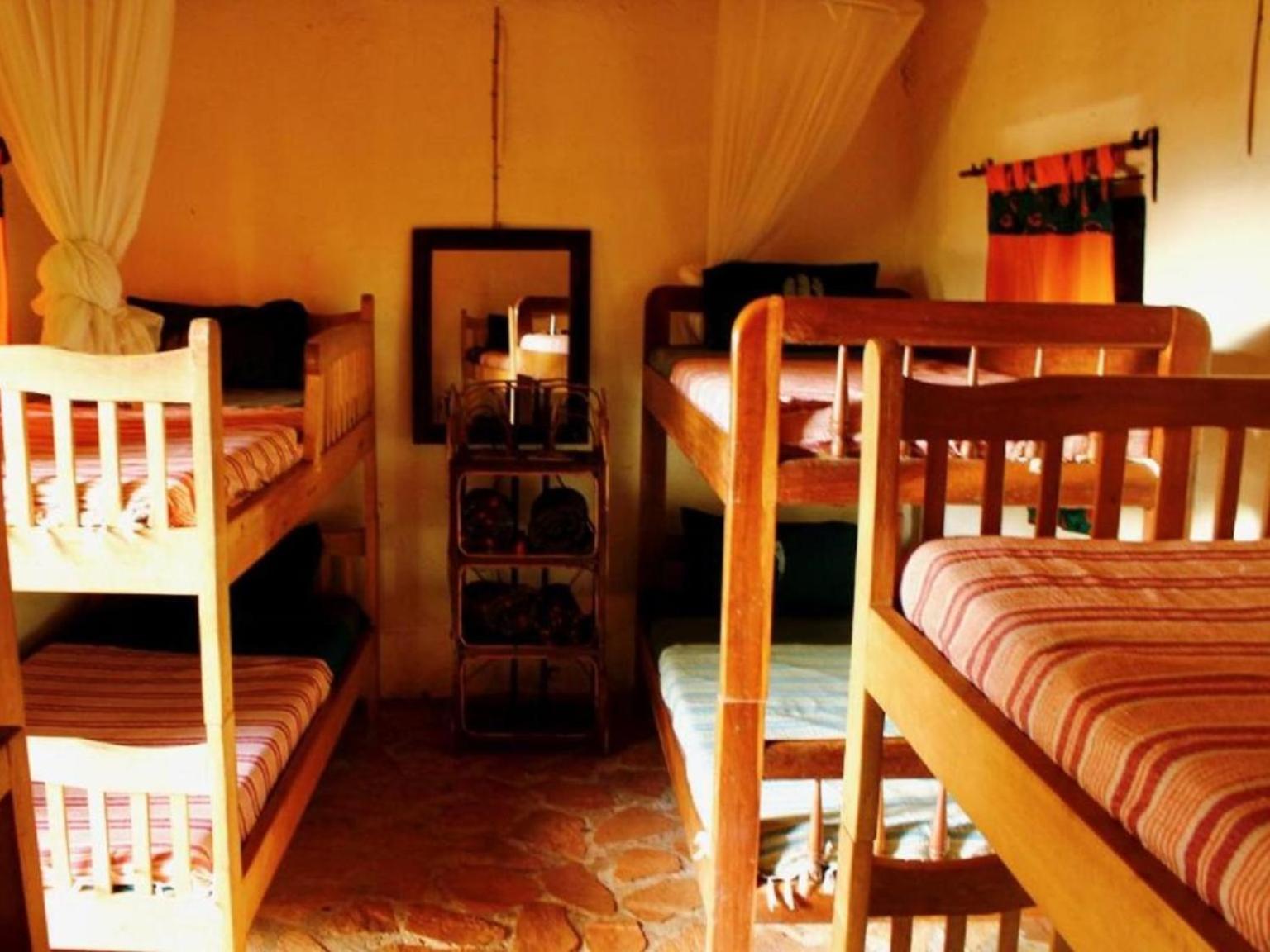 Bed in 6-Bed Dormitory Room photo 3