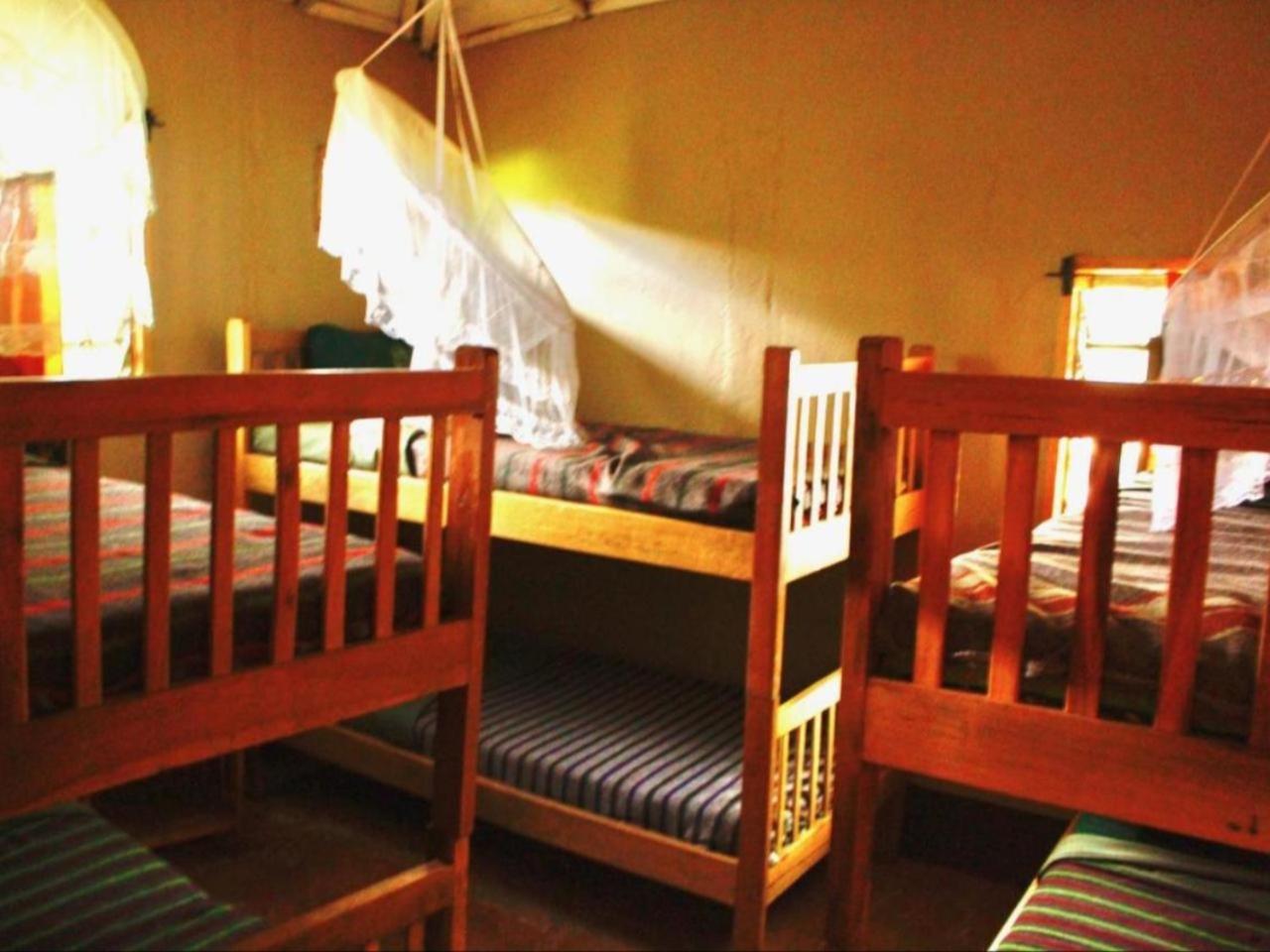 Bed in 6-Bed Dormitory Room