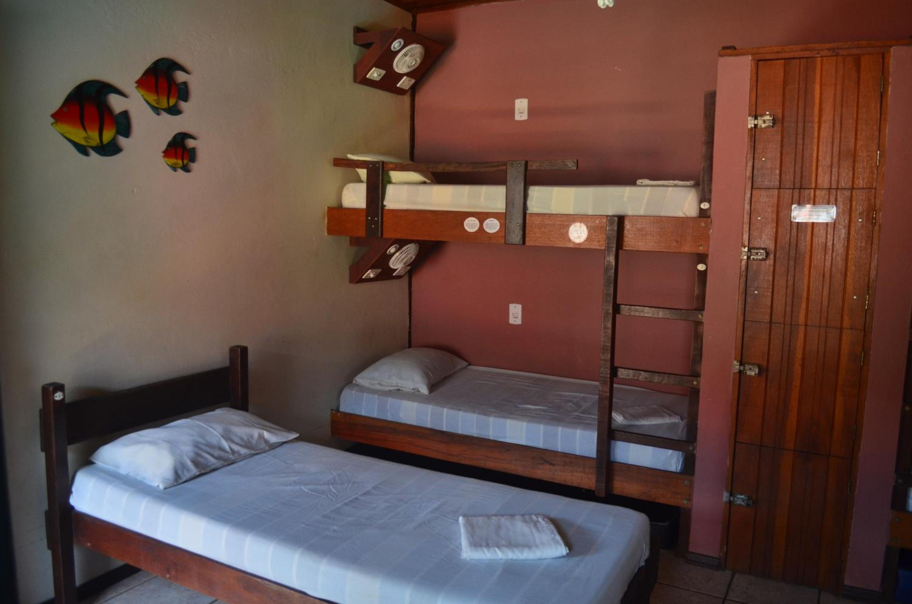 Single Bed in 5-Bed Female Dormitory Room photo 1