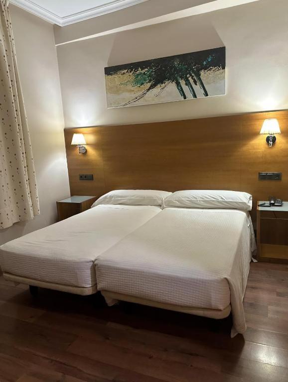 Superior Single Room photo 2