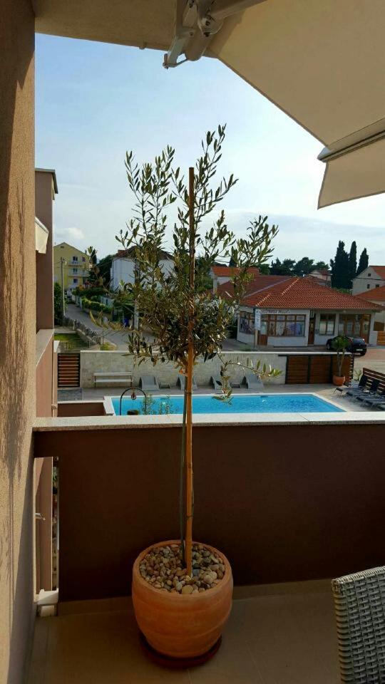 Apartment with Pool View  photo 1