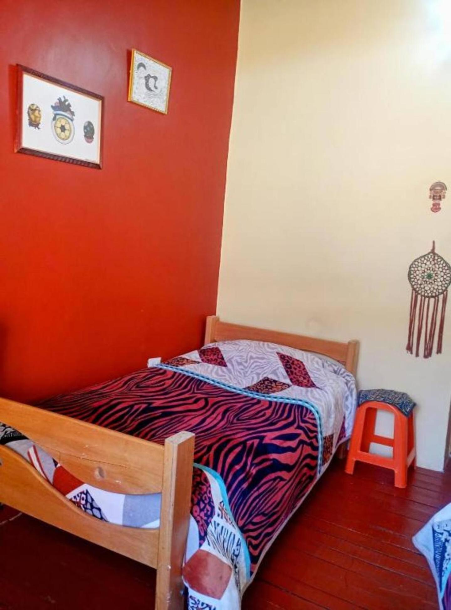 Single Bed in Mixed Dormitory Room photo 3
