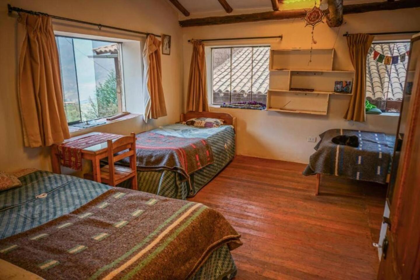 Single Bed in Mixed Dormitory Room photo 2