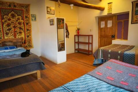Single Bed in Mixed Dormitory Room photo 3