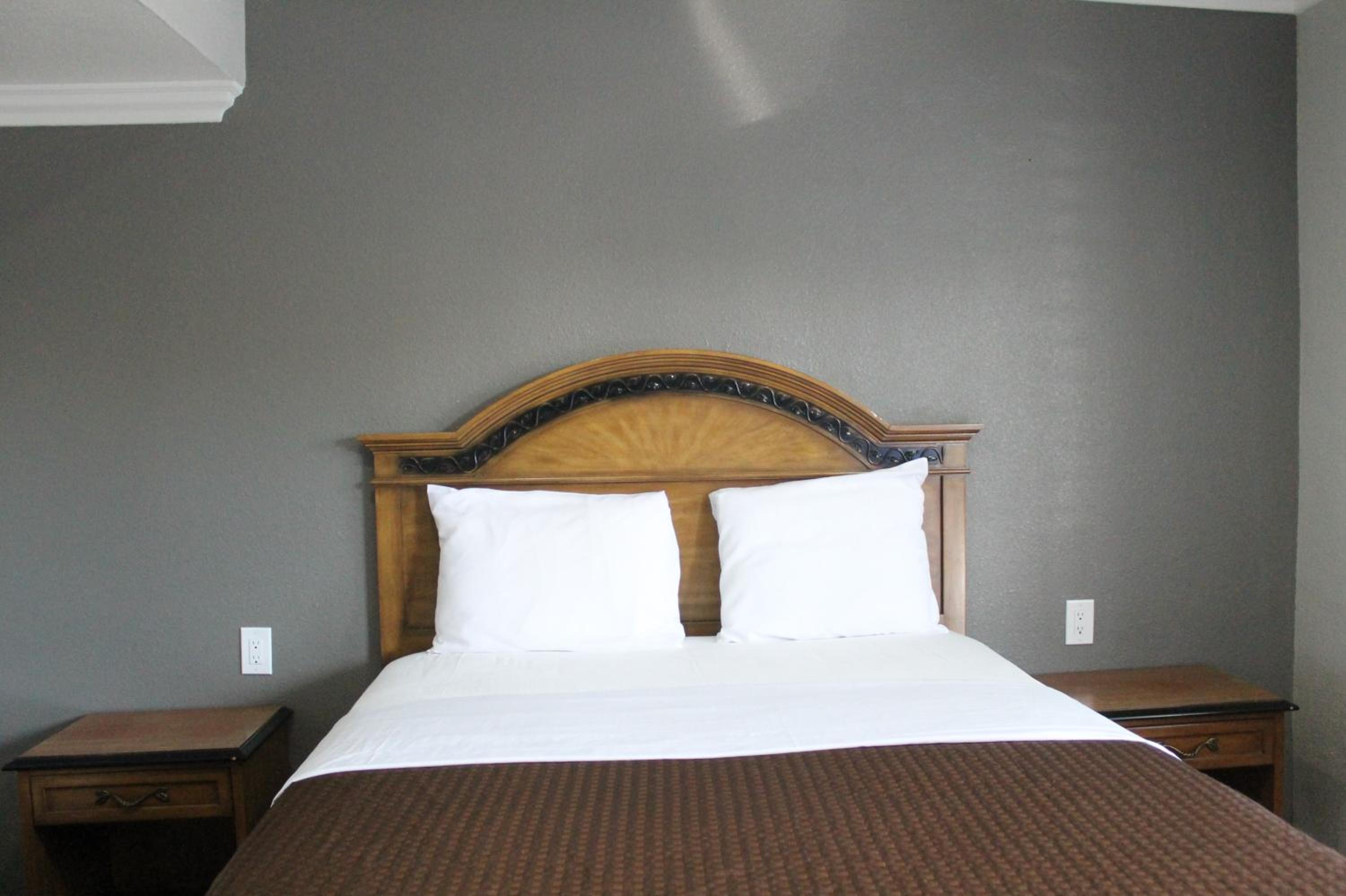 Single Room - Disability Access photo 1