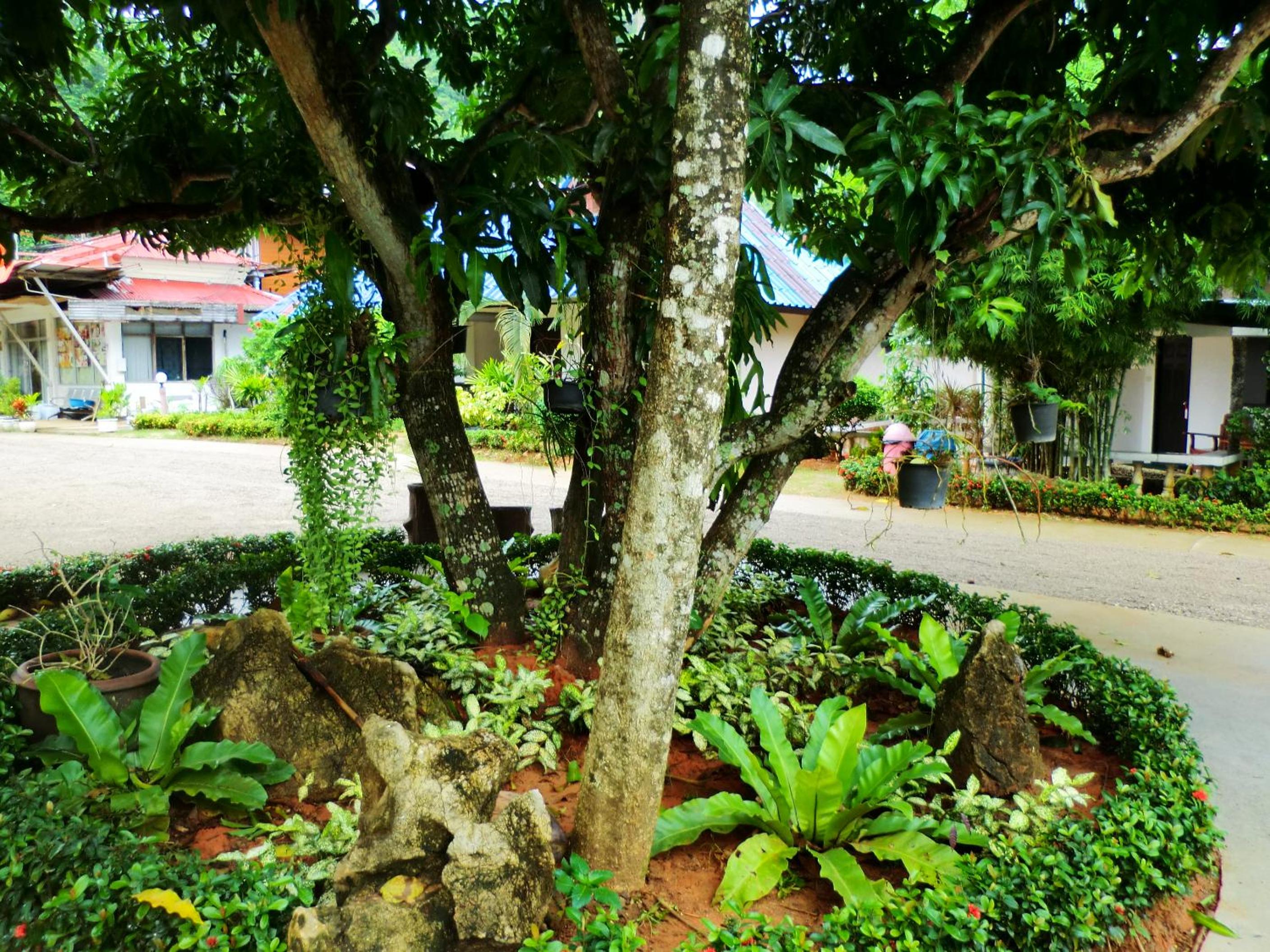 Single Room with Garden View - Photo 63
