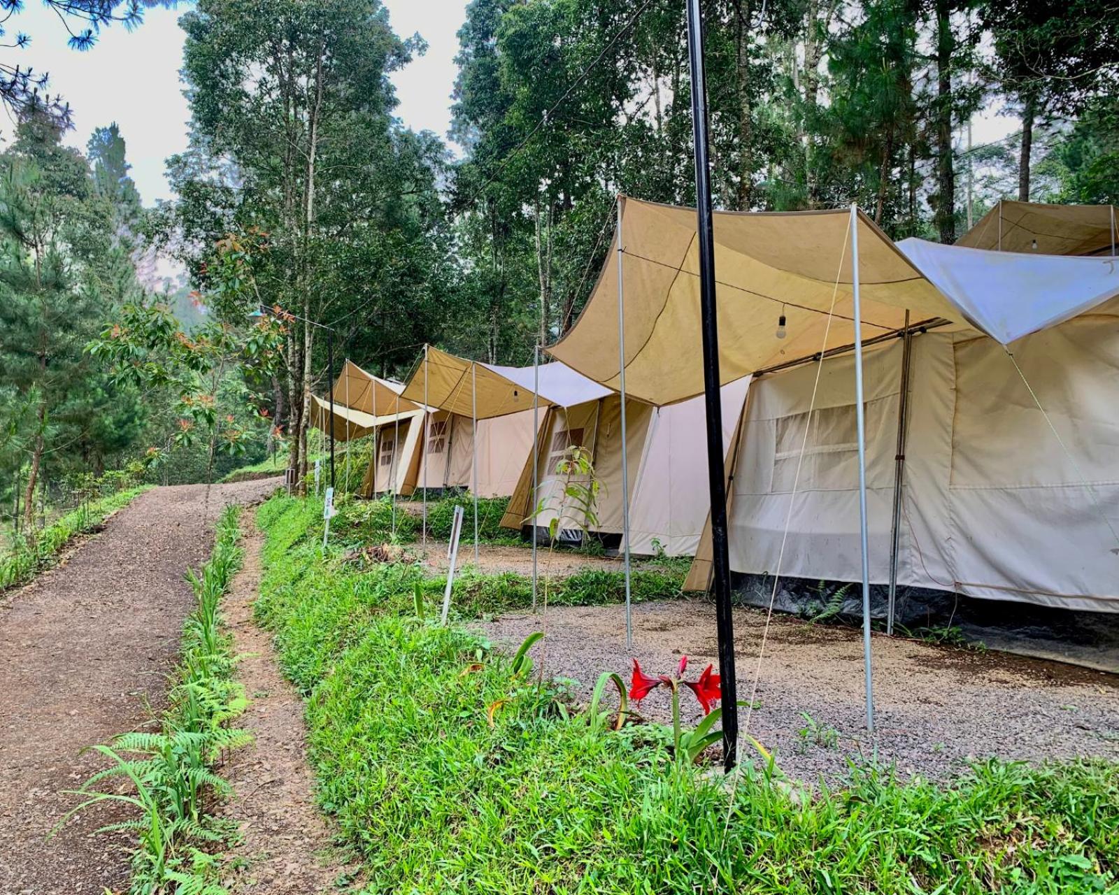 Tent photo 2