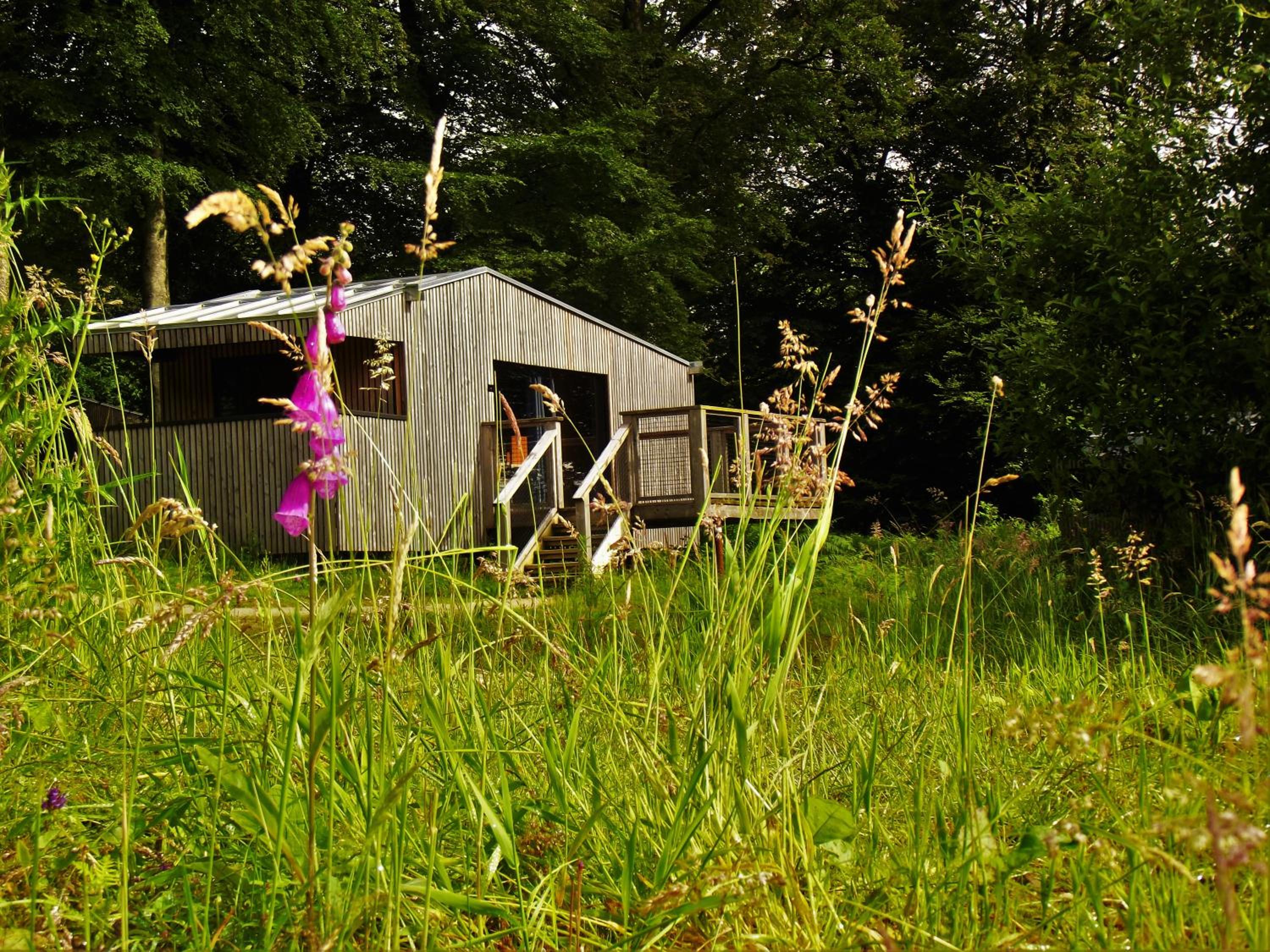 Bungalow with Patio photo 3