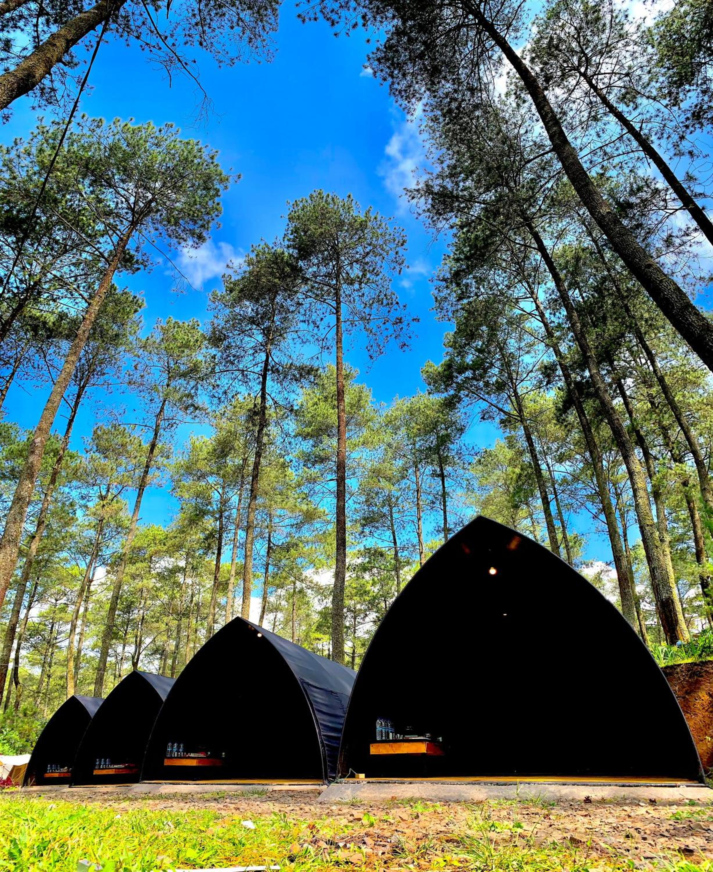 Tent photo 1