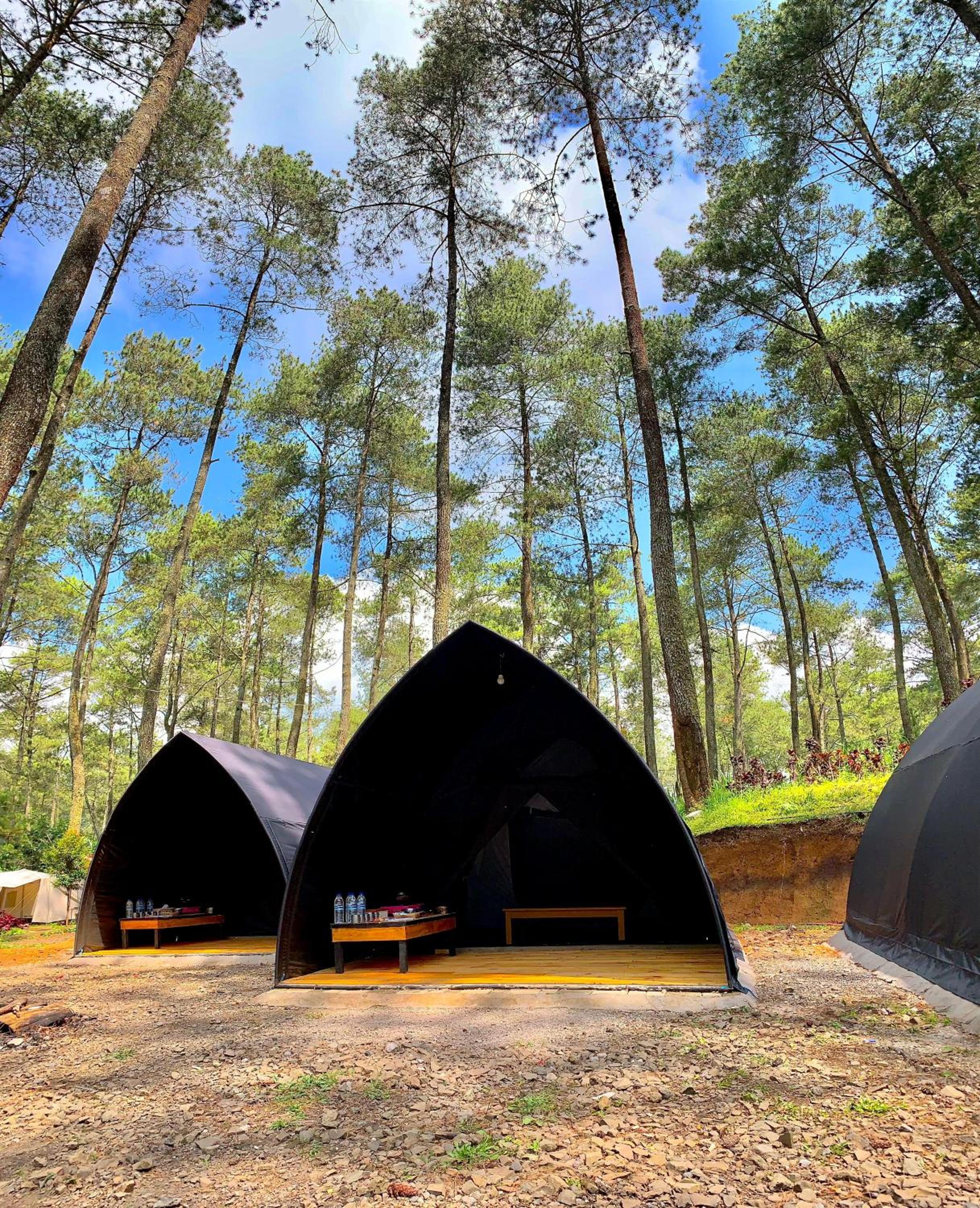 Tent photo 3