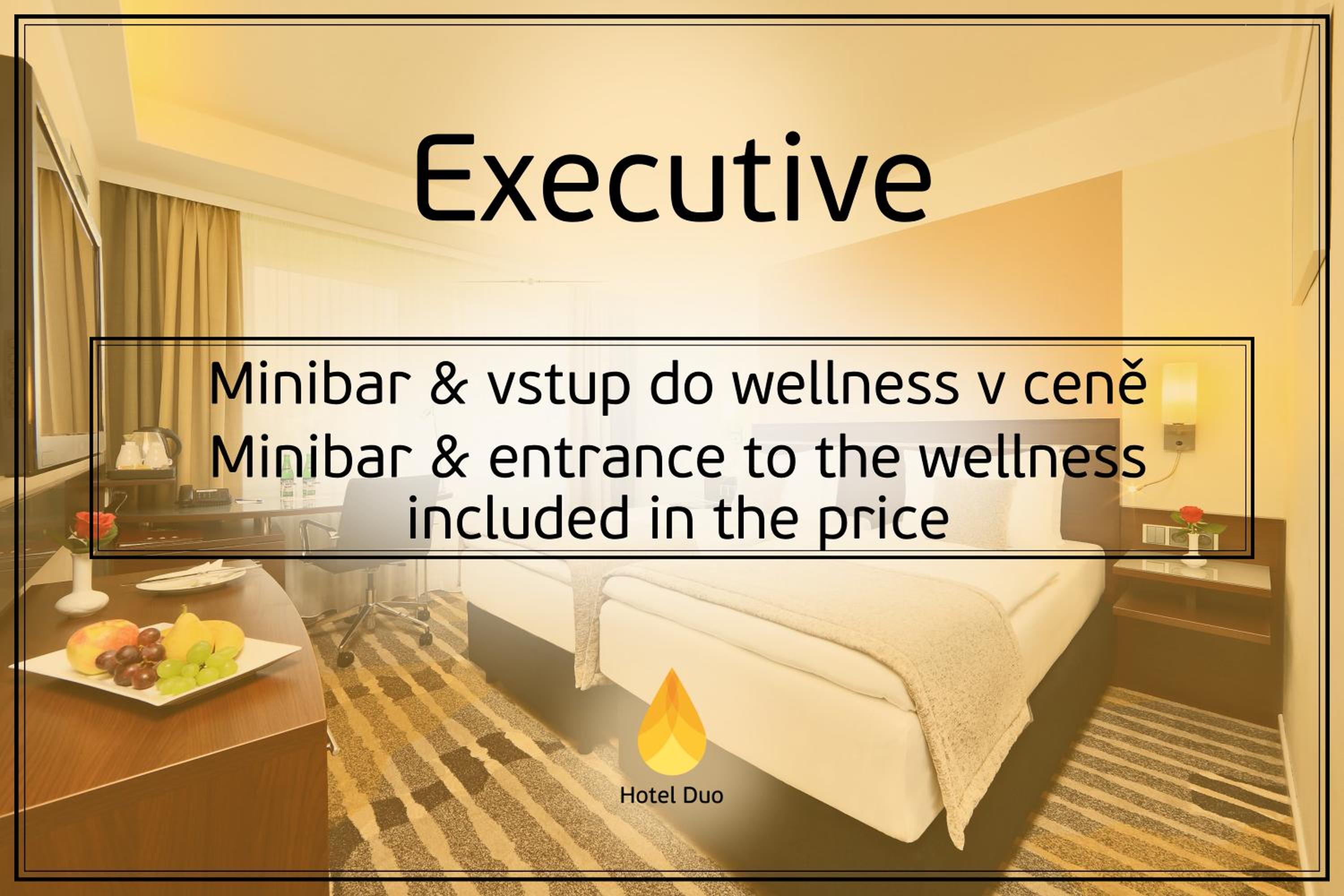Executive Double or Twin Room with Wellness Access - Photo 8