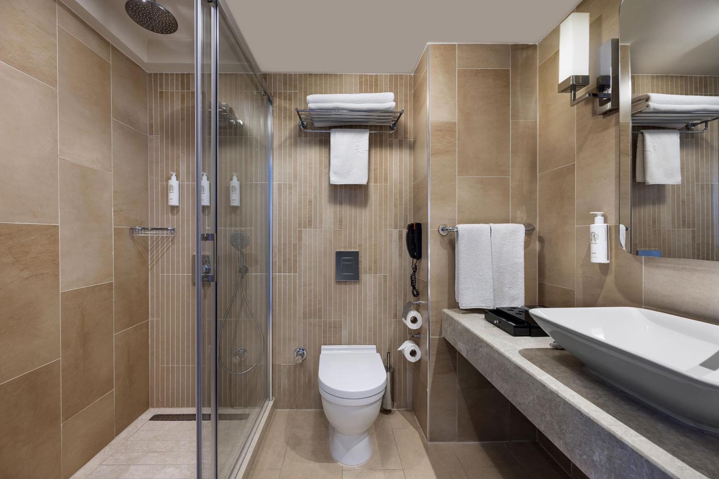 Deluxe Double or Twin Room with City View photo 3