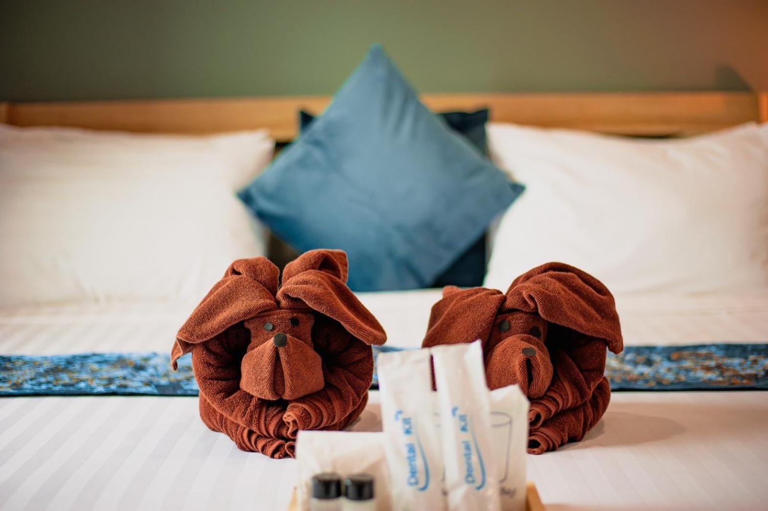Superior Double Room photo 2