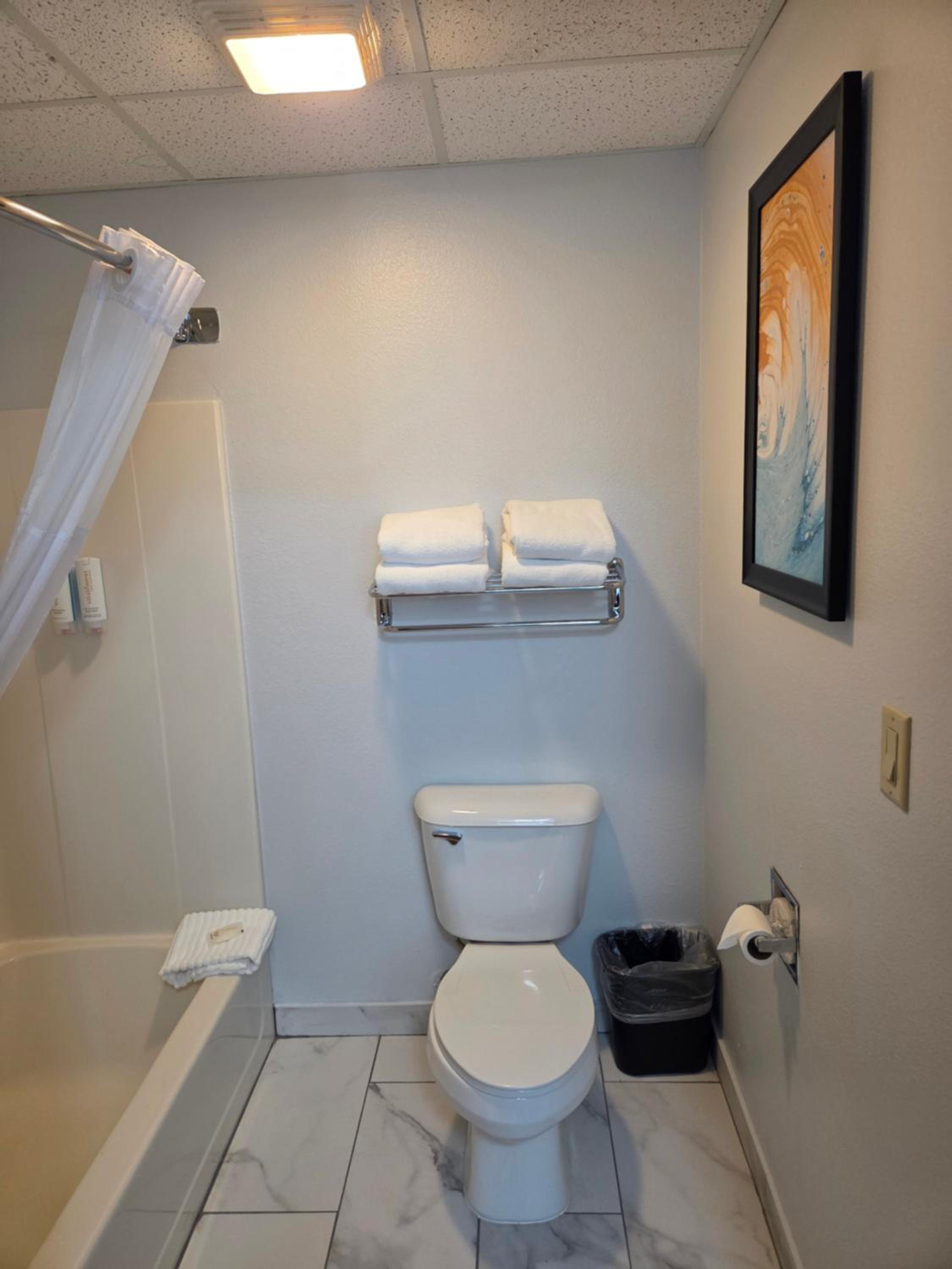 Efficiency King Suite - Non-Smoking - Photo 4