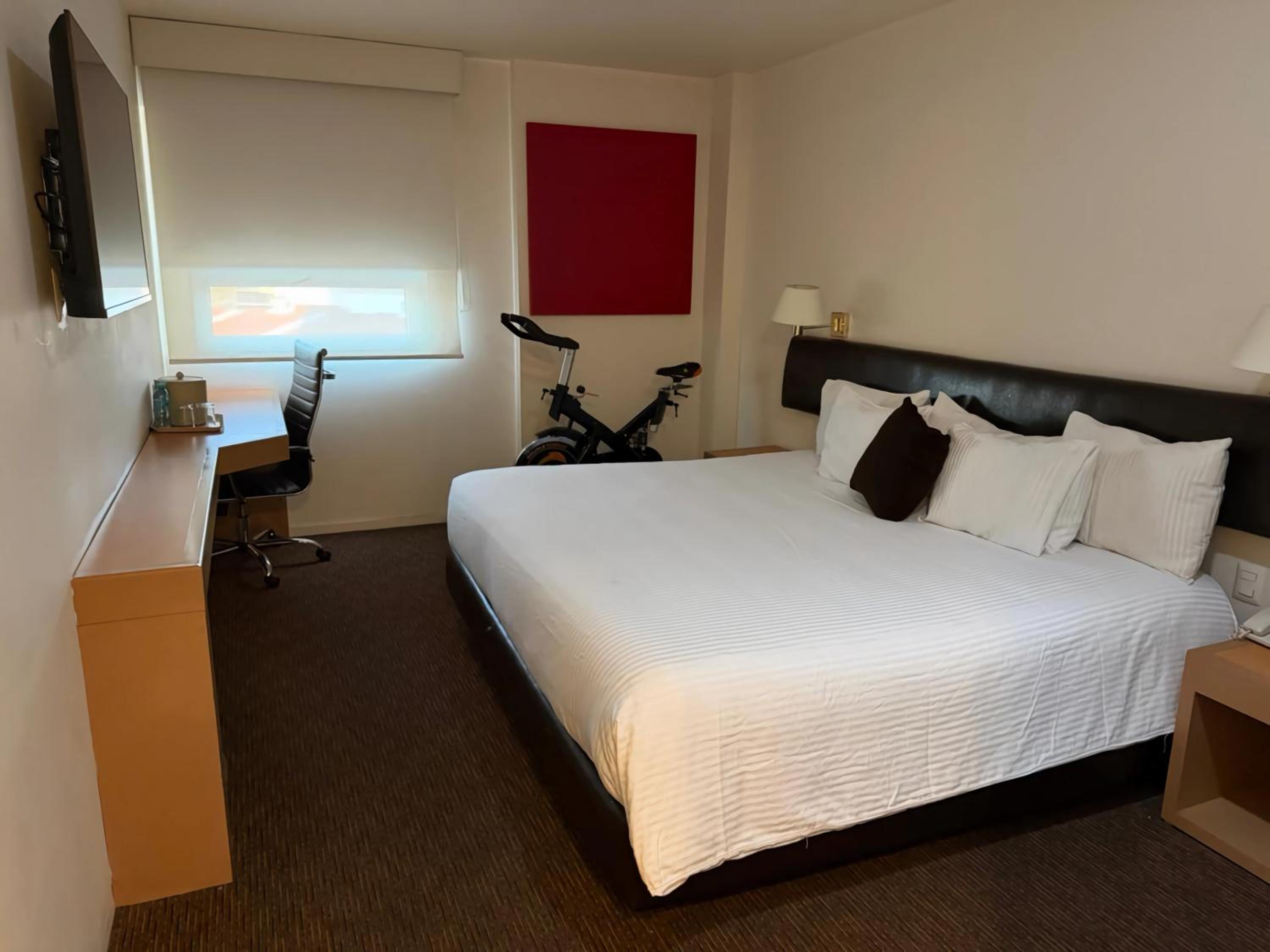 Superior King Suite