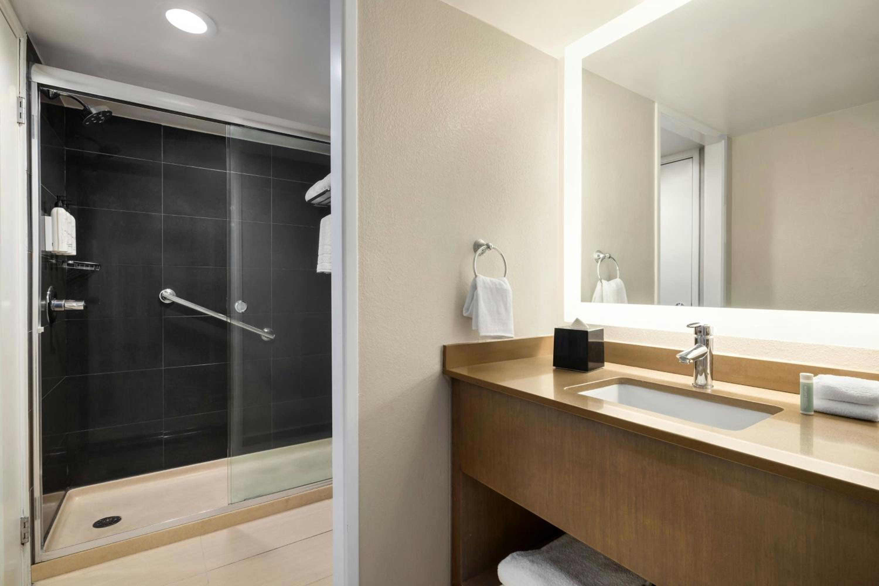 Two-Bedroom Suite - Photo 8