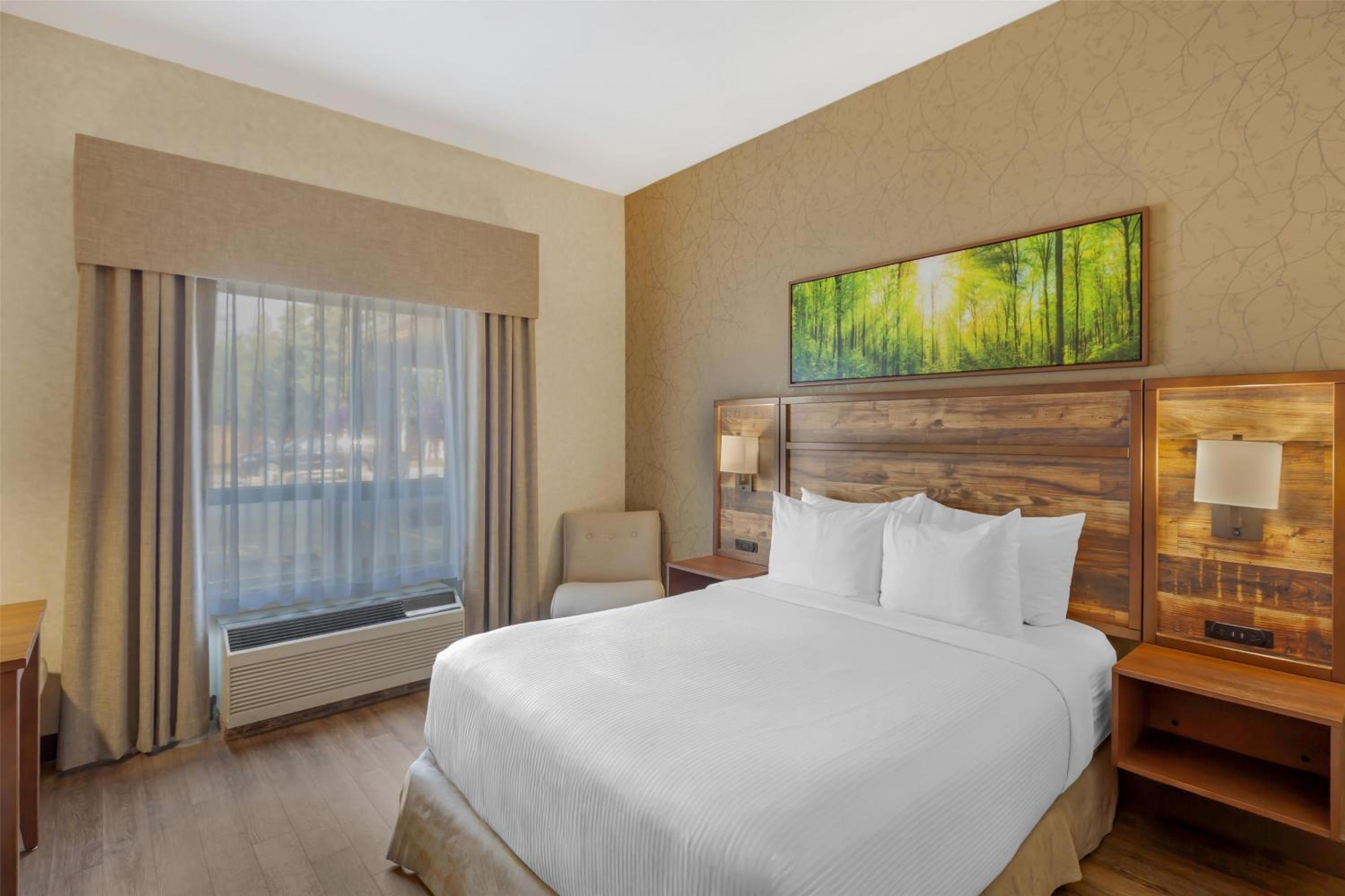 Queen Room with Roll-In Shower - Disability Access