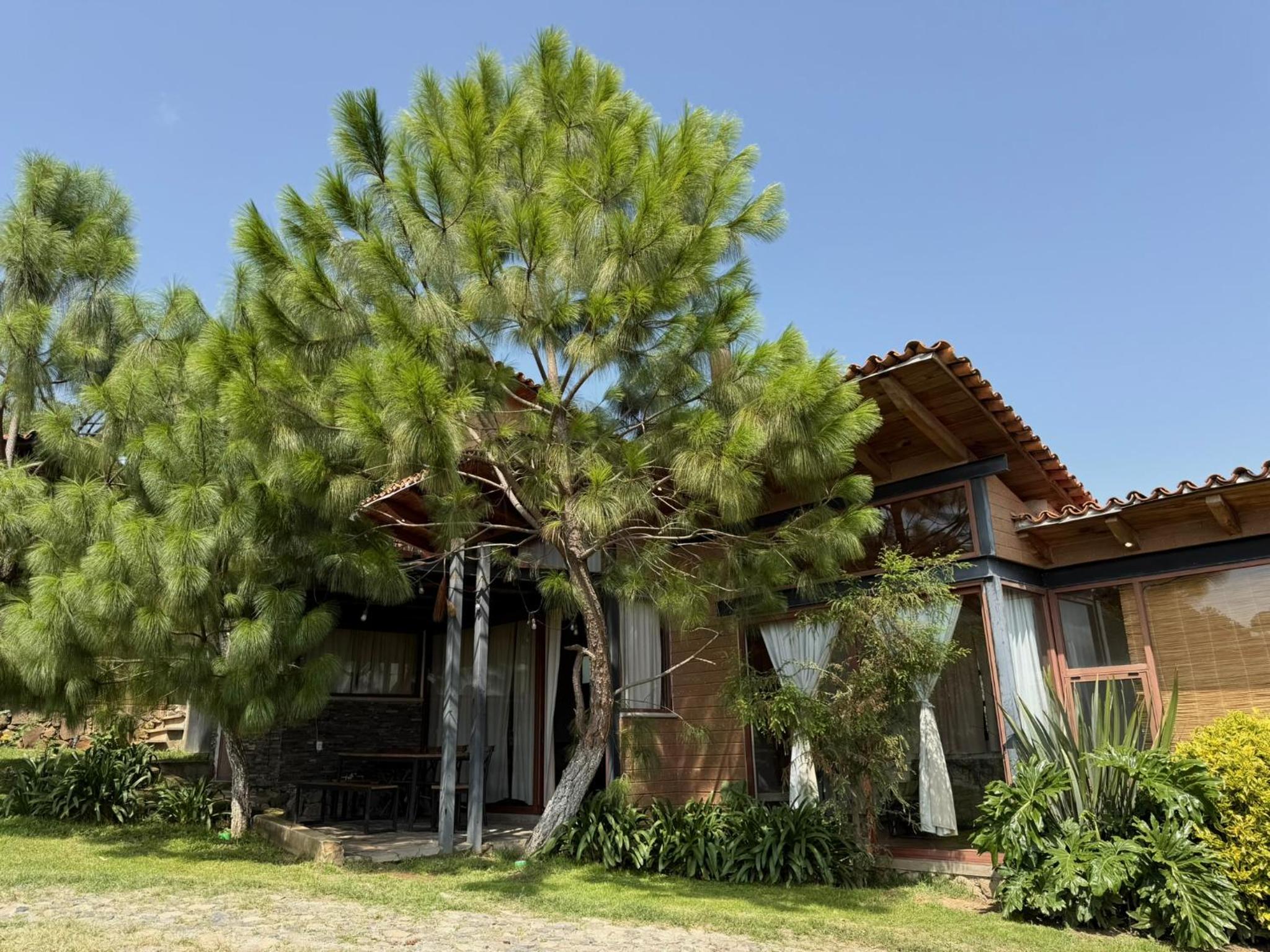 Two-Bedroom House - Photo 4
