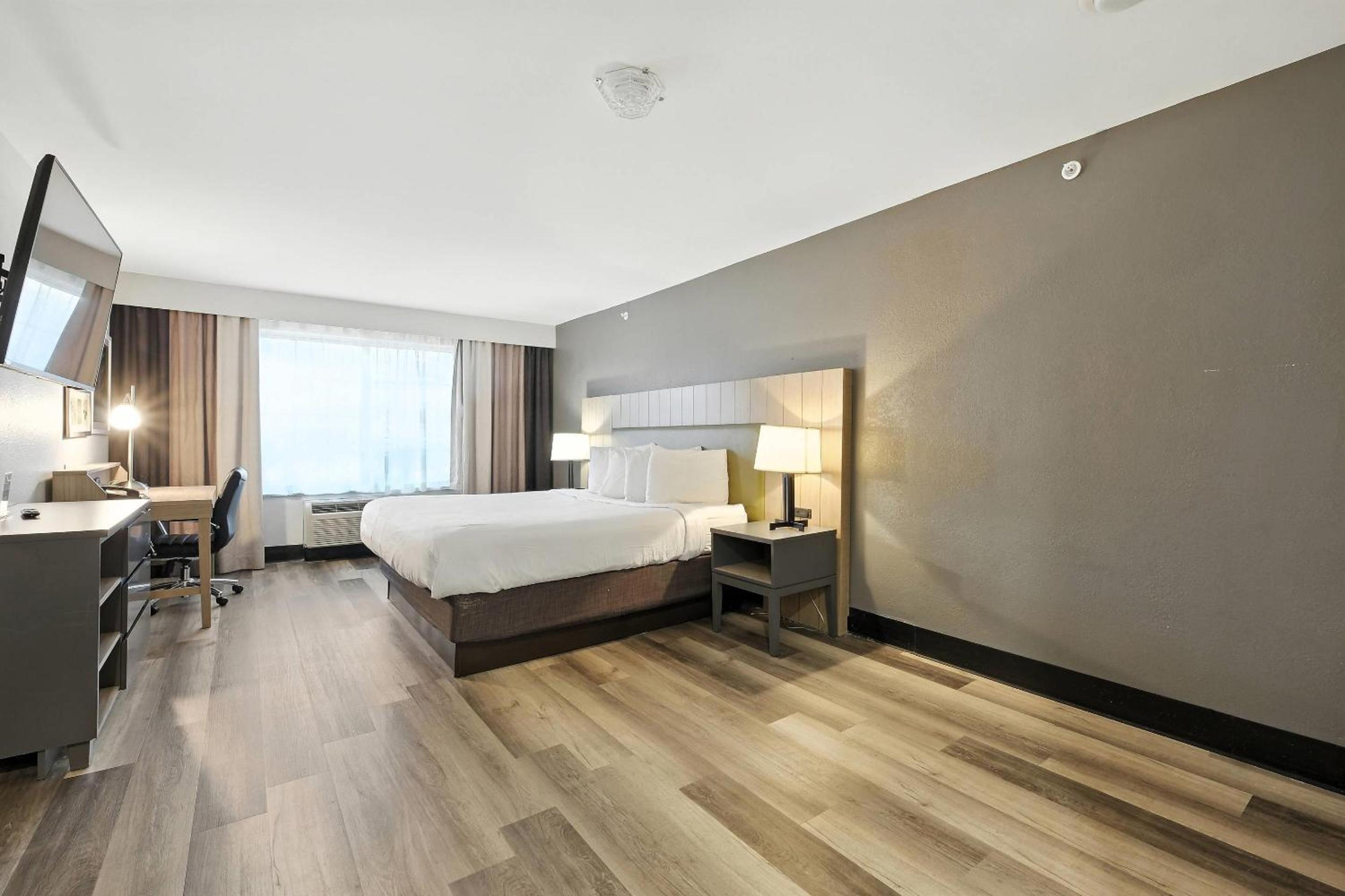 King Room with Roll-In Shower - Disability Access/Non Smoking - Photo 1