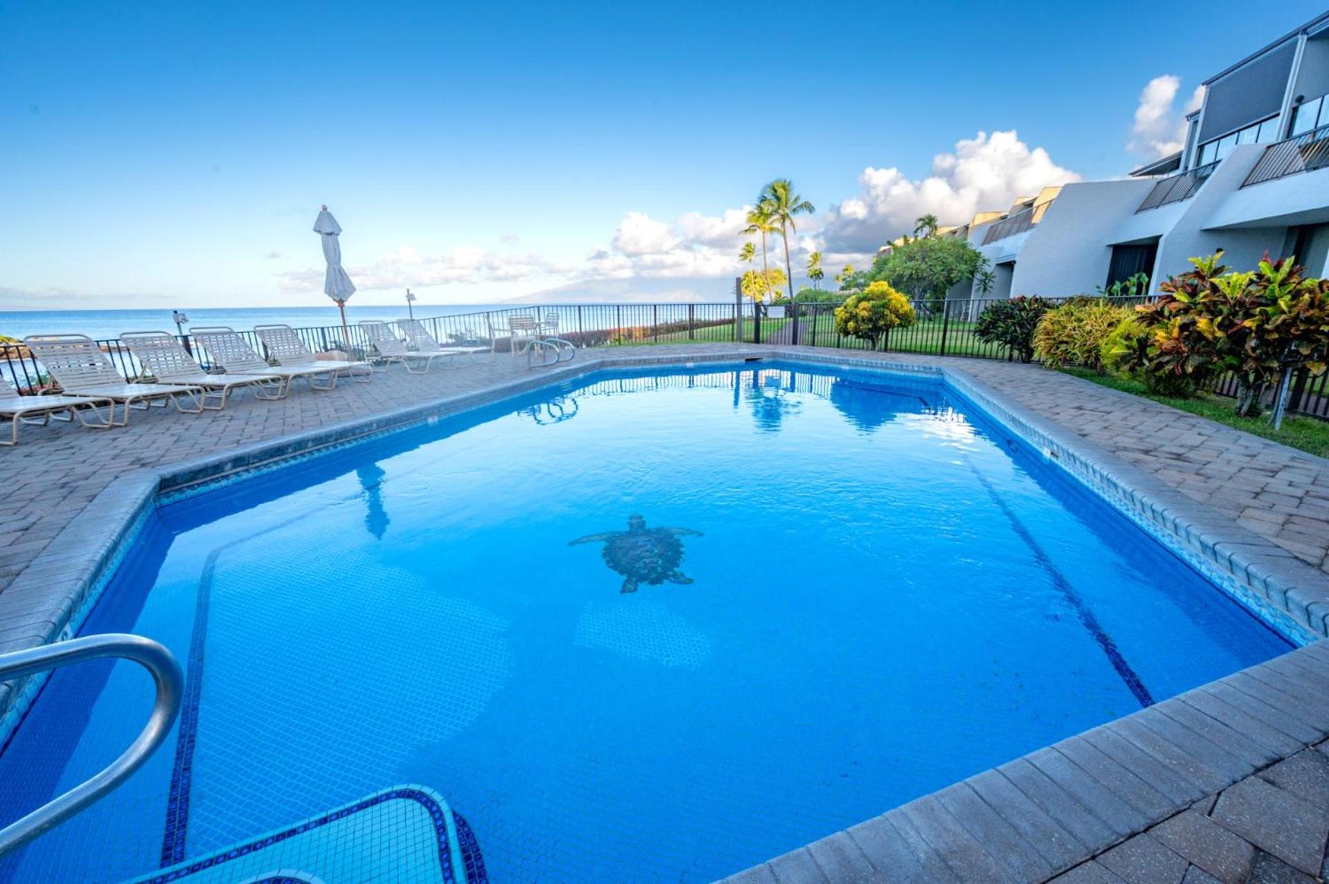 KBM Resorts   FREE CAR   Napili Point   Stunning Ocean view   Gorgeous 2-Bedroom Condo NAP-C42 photo 1