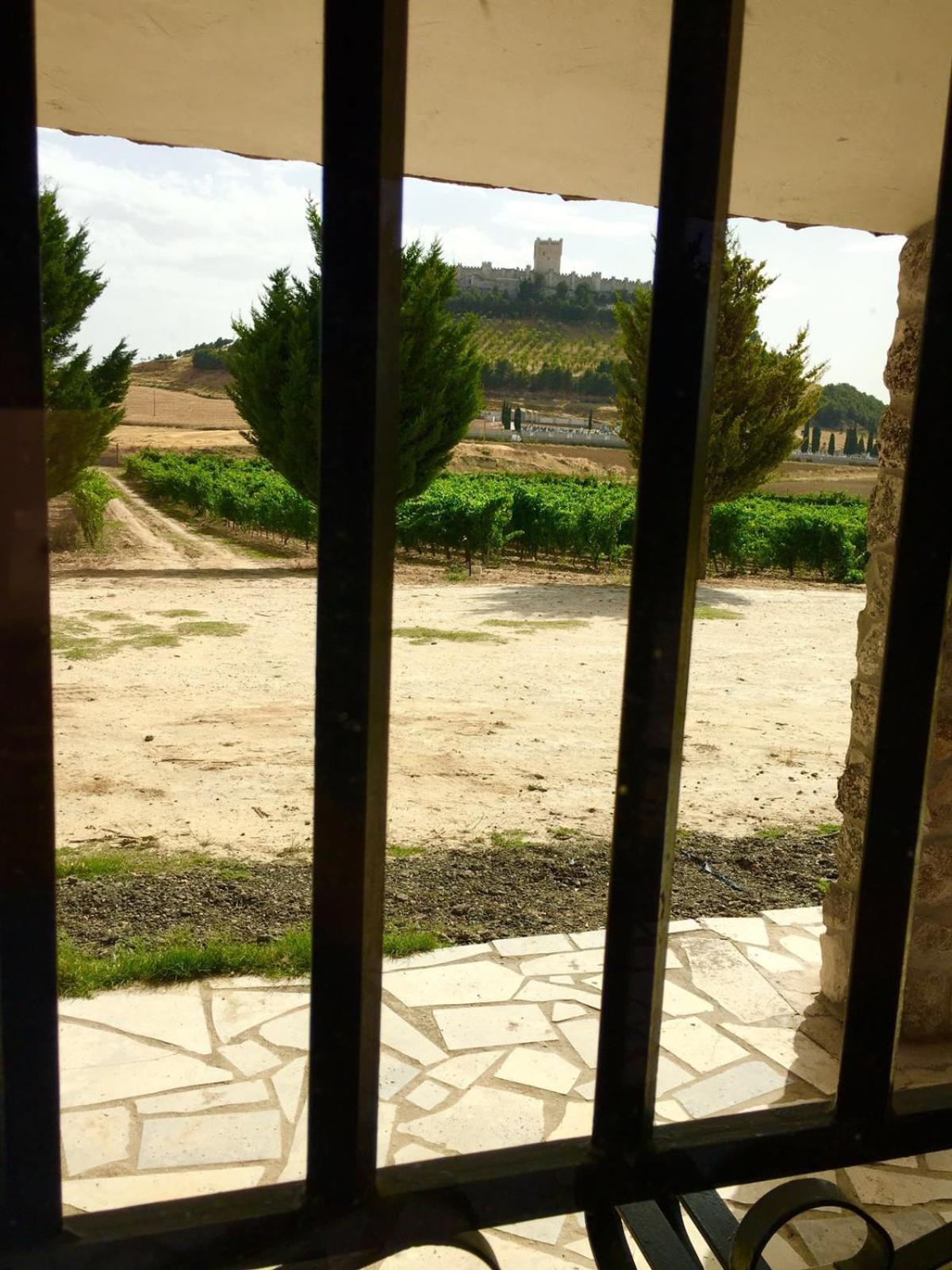 CASA BODEGAS MARCOS - Photo 59