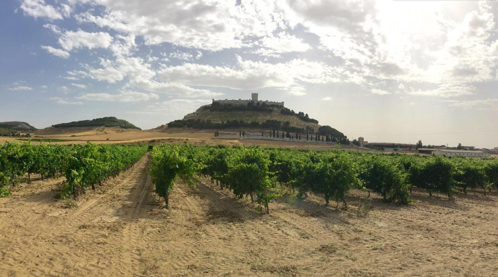 CASA BODEGAS MARCOS - Photo 66