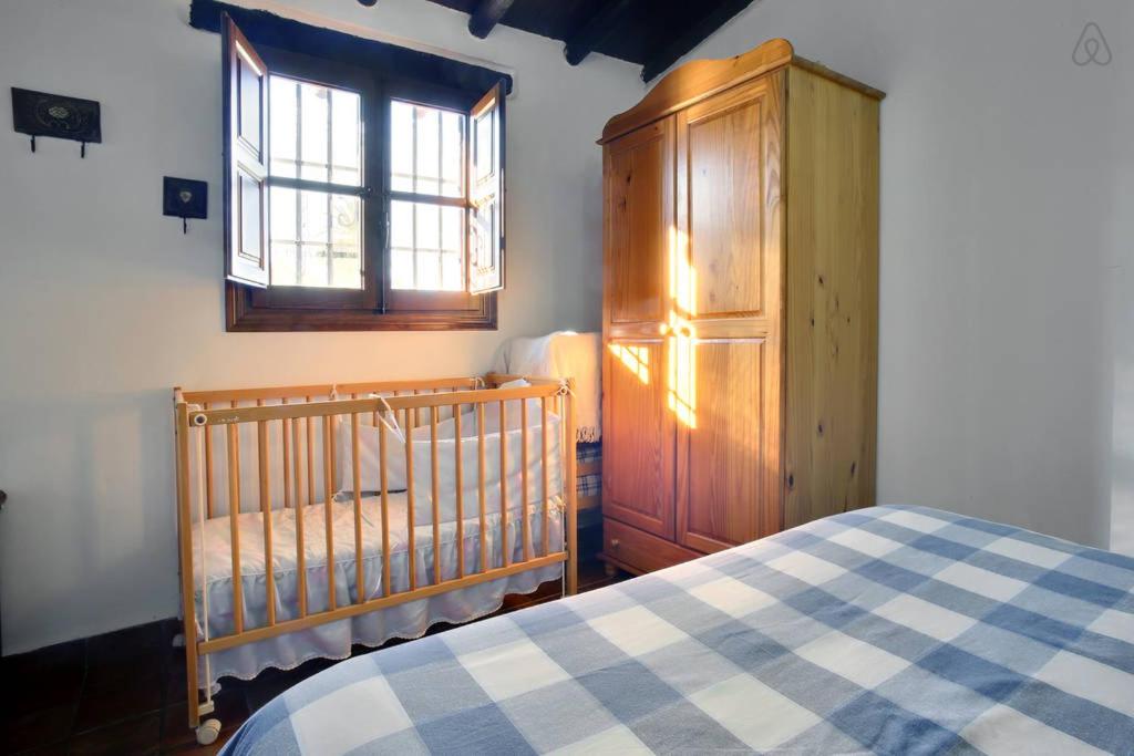 Apartamento - Planta Baja