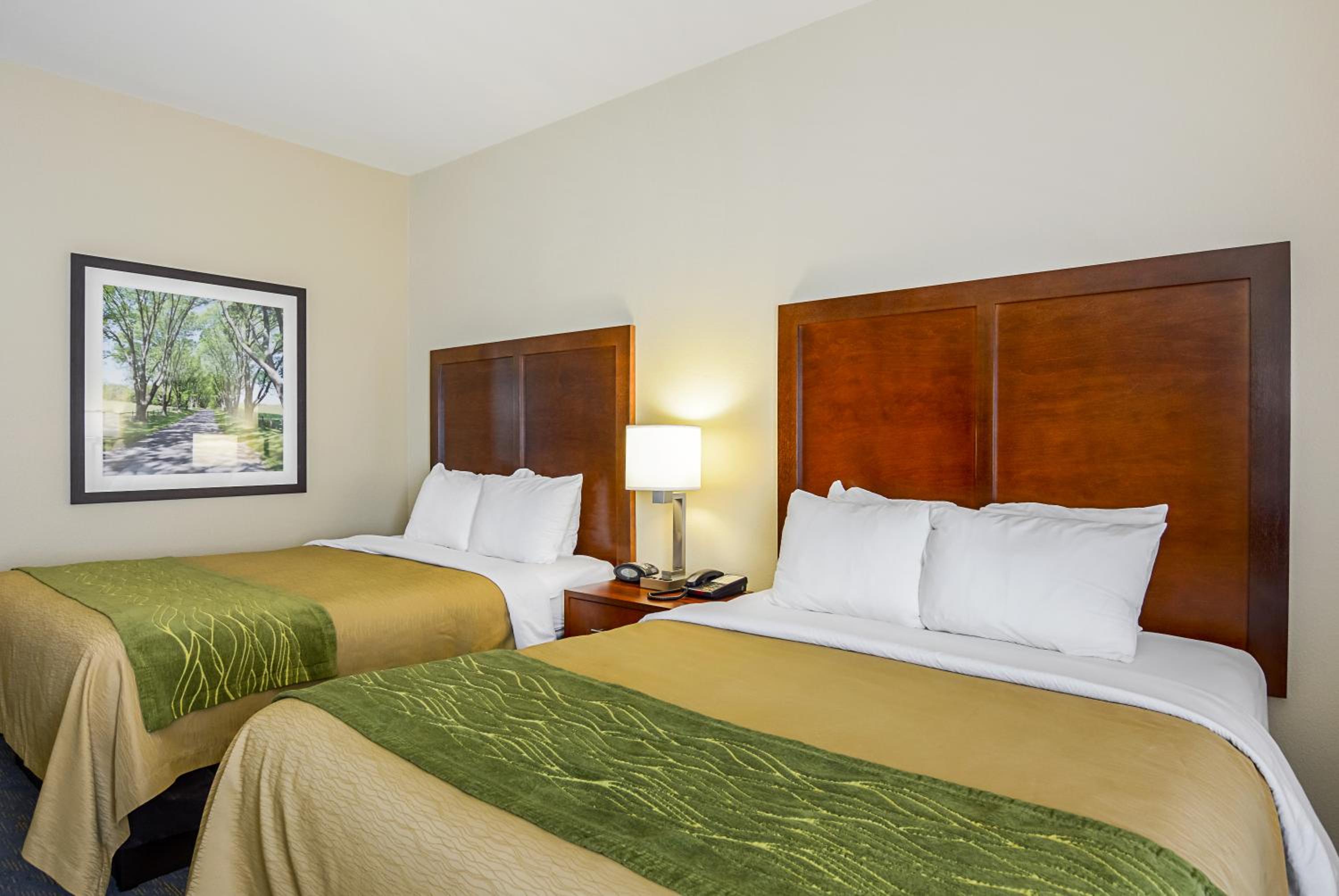 Queen Room with Two Queen Beds - Photo 2