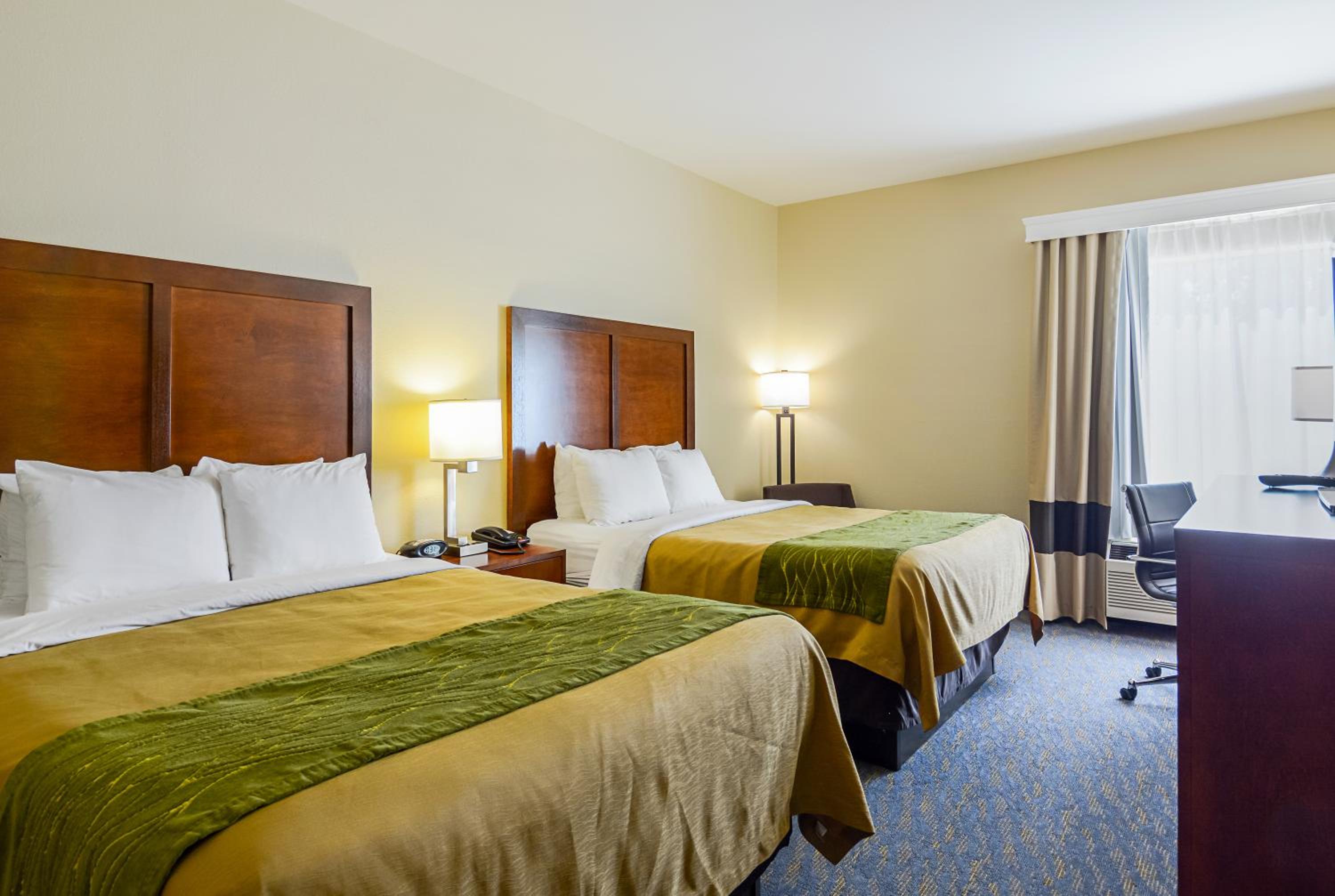 Queen Room with Two Queen Beds - Photo 8