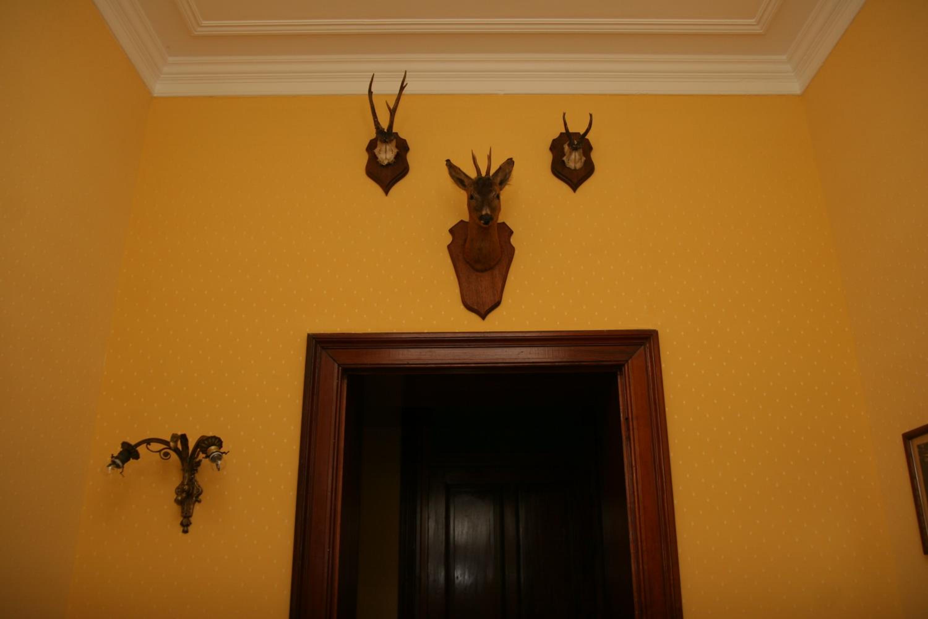 Deluxe Suite photo 3