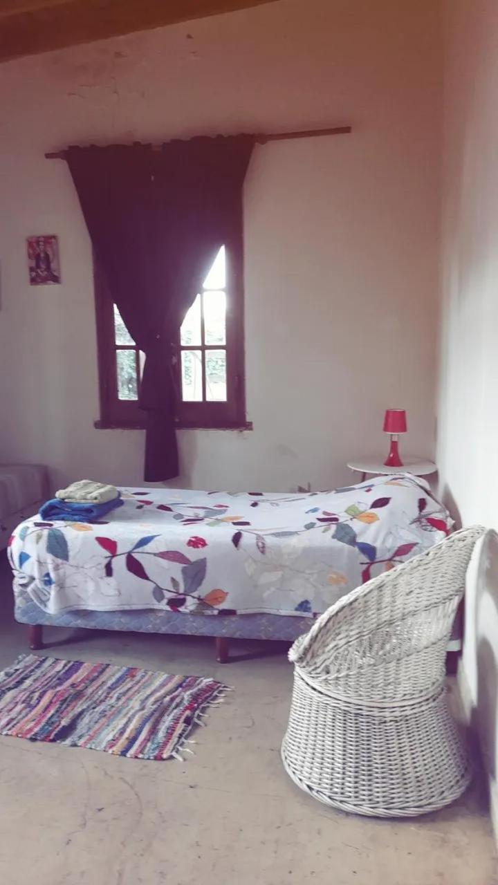 Large Single Room photo 1