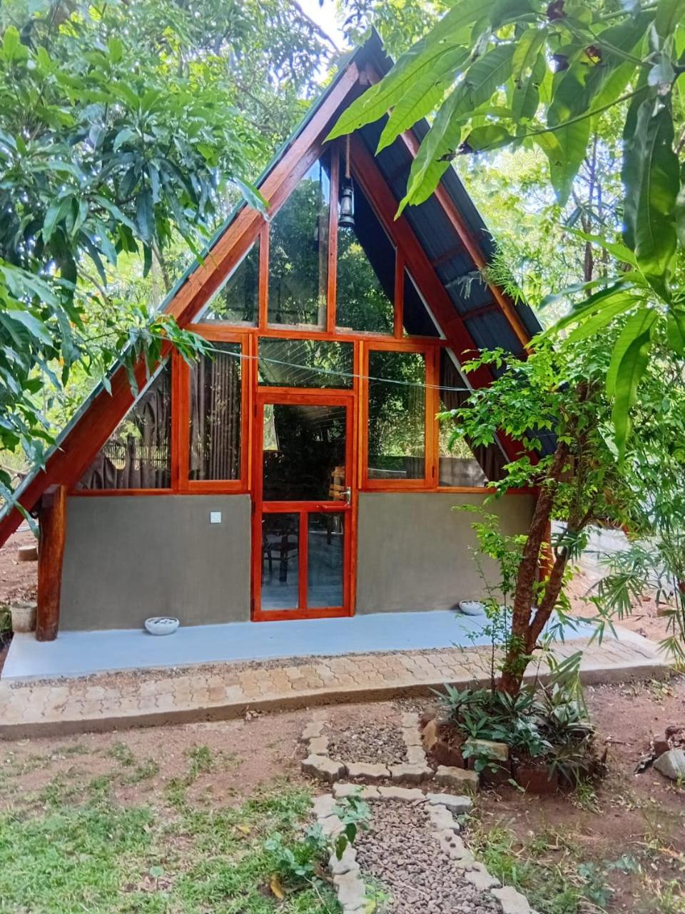 Superior Villa photo 1