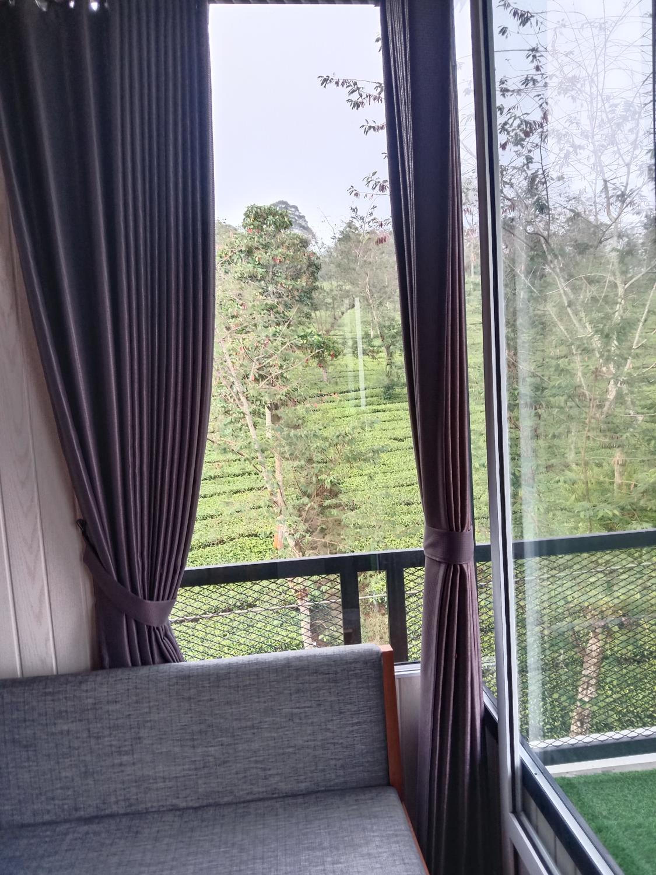 Superior Villa photo 3