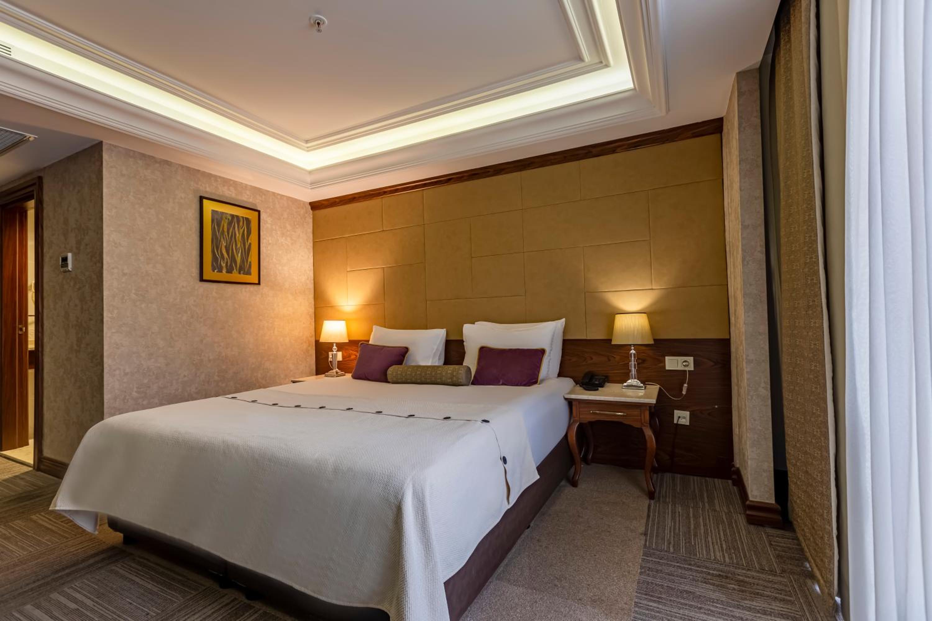 Deluxe Double Room photo 3