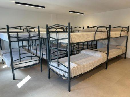 Bunk Bed in Mixed Dormitory Room